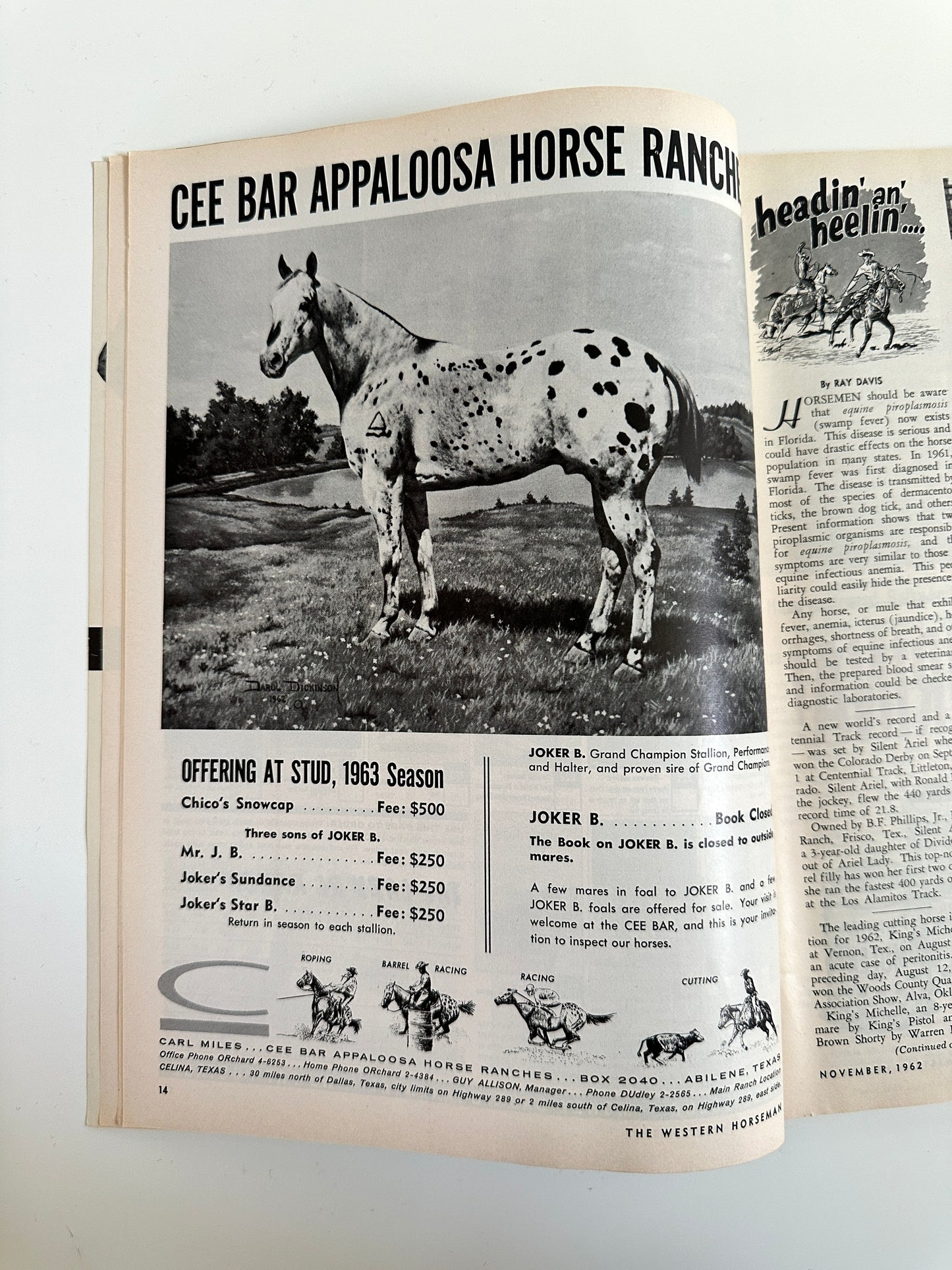 Vintage Western Horseman Magazine 1962