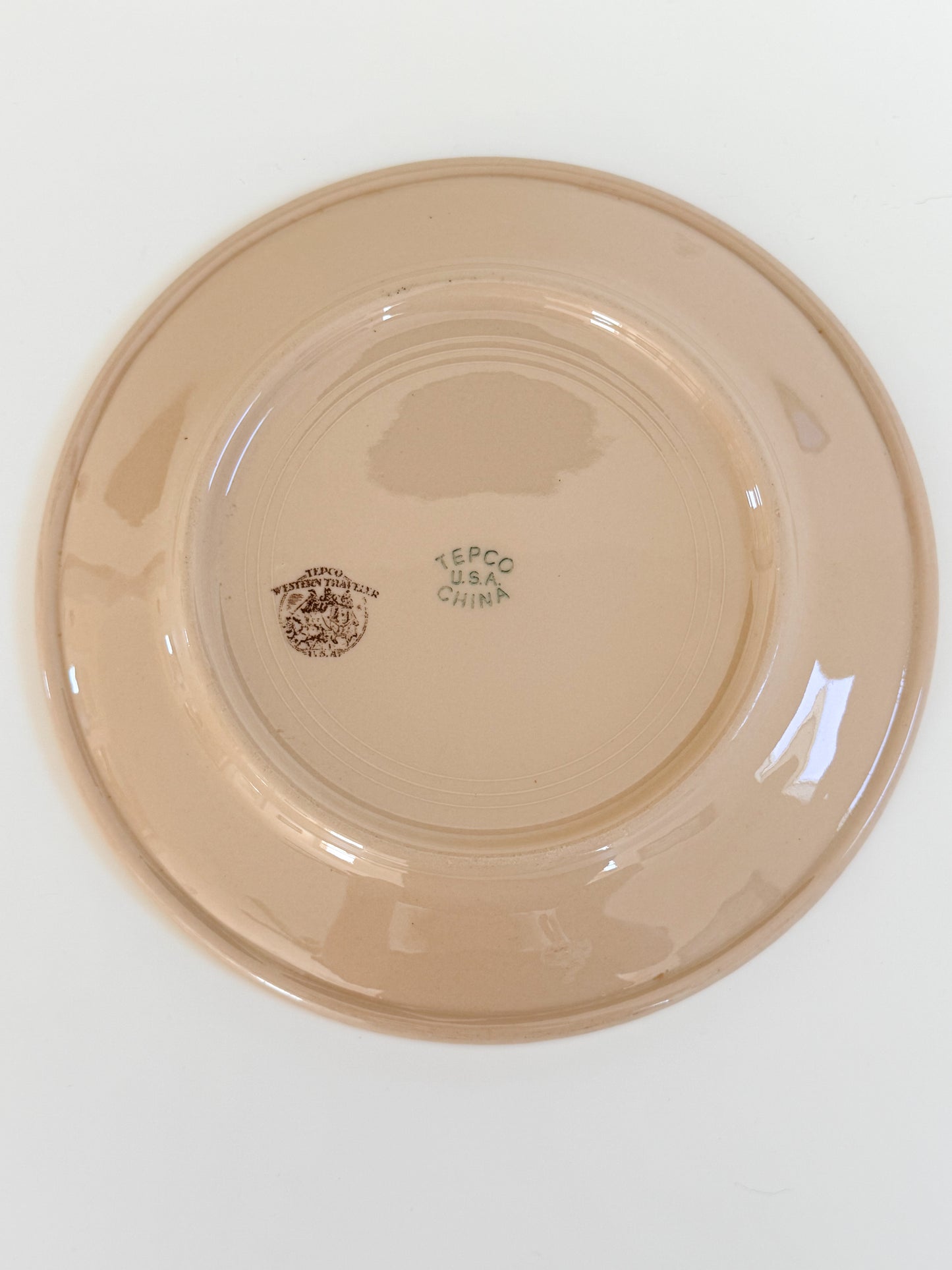 Vintage TEPCO Western Traveler Plate