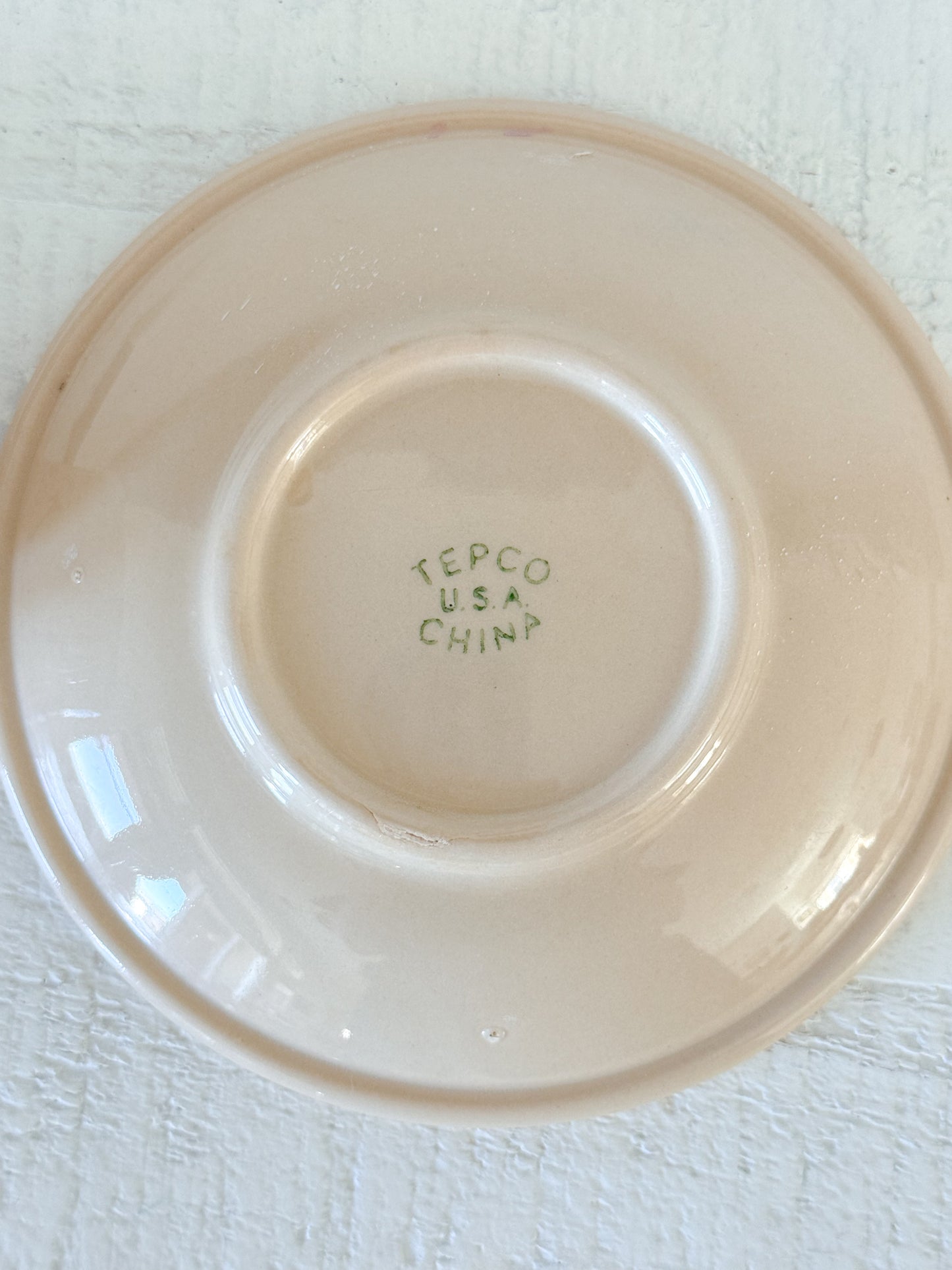 Vintage Tepco China Western Traveler Cup & Saucer