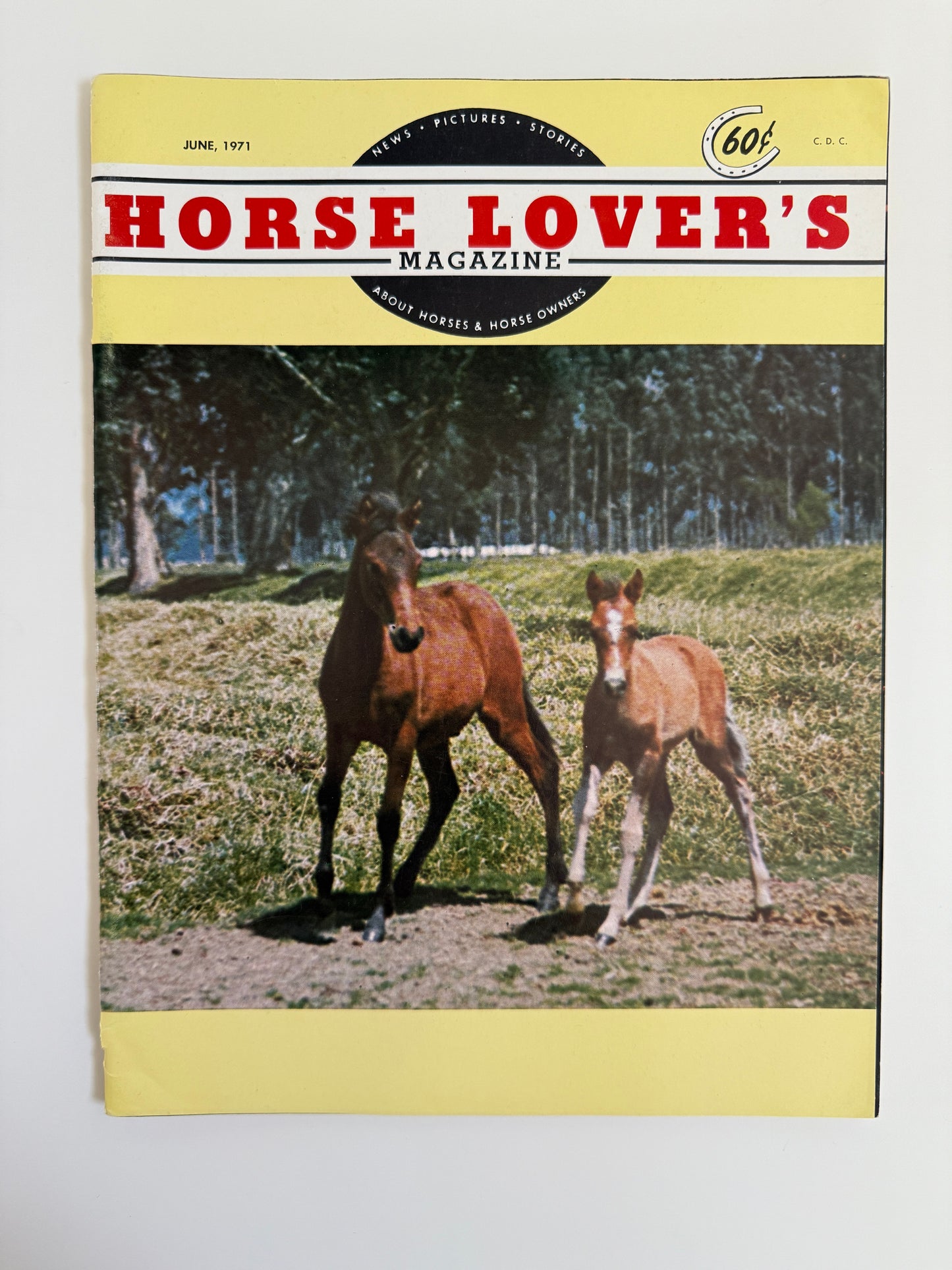 Vintage Horse Lovers Magazine 1971