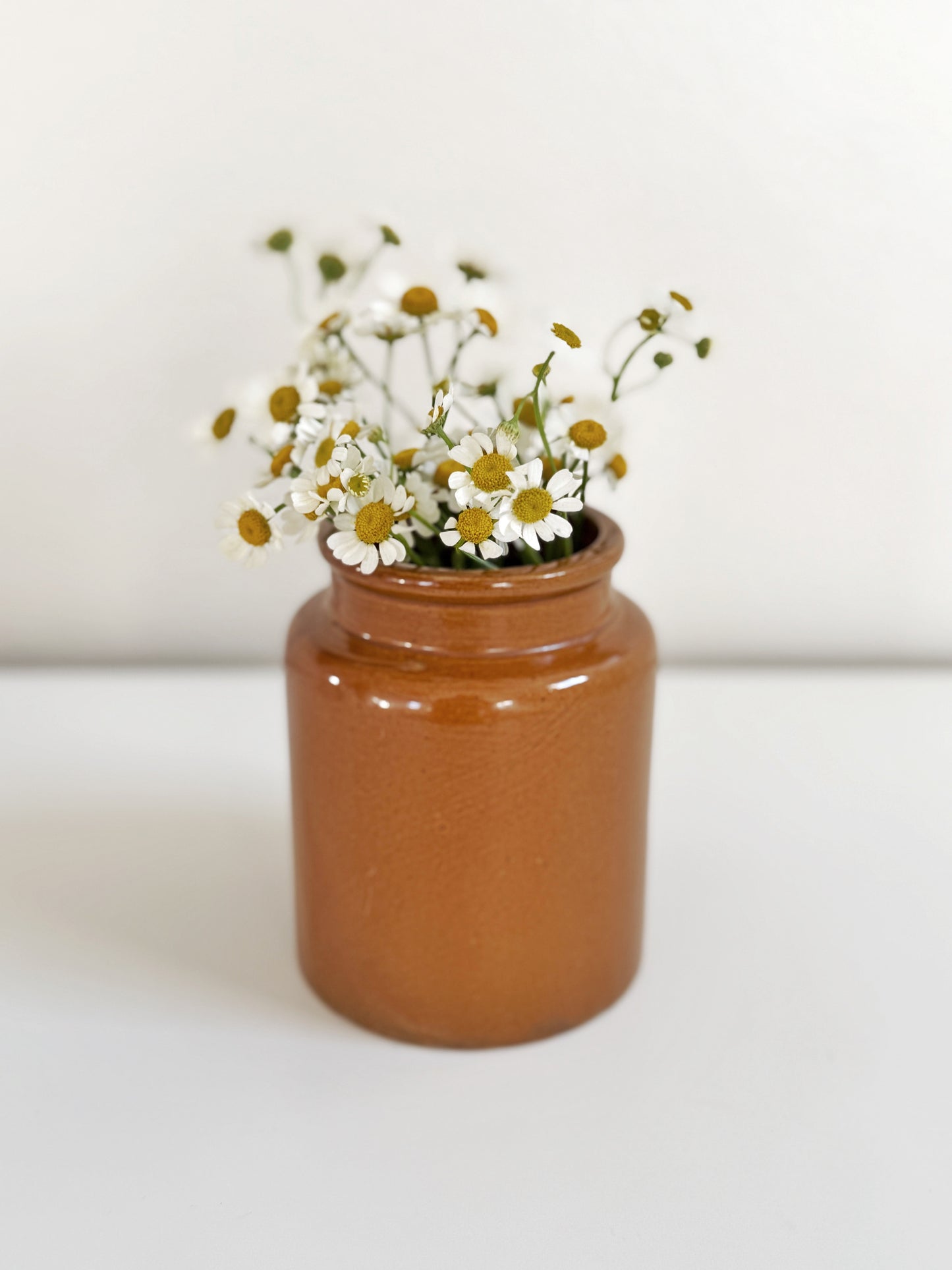 Stoneware Mustard Crock (Mustard)