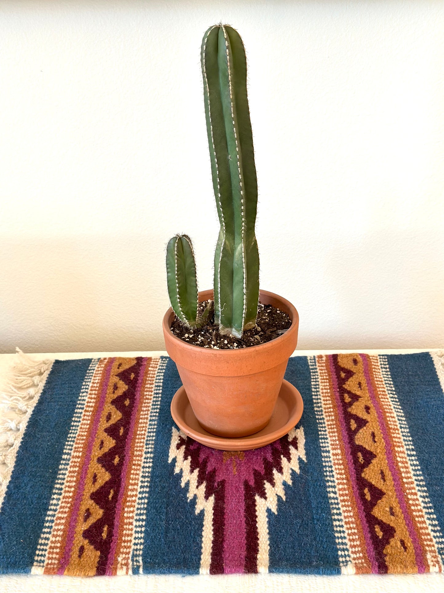 Large Chimayo Table Mat