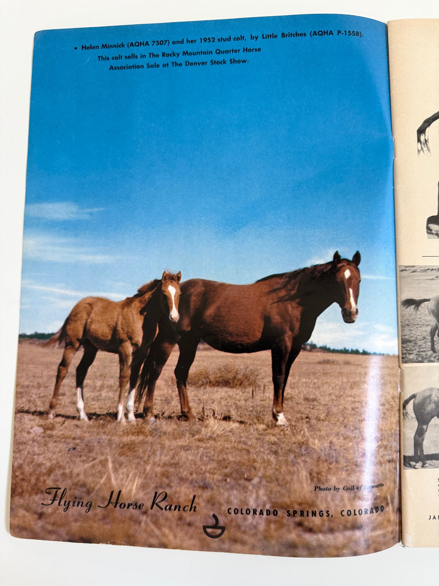 Vintage Western Horseman Magazine 1953