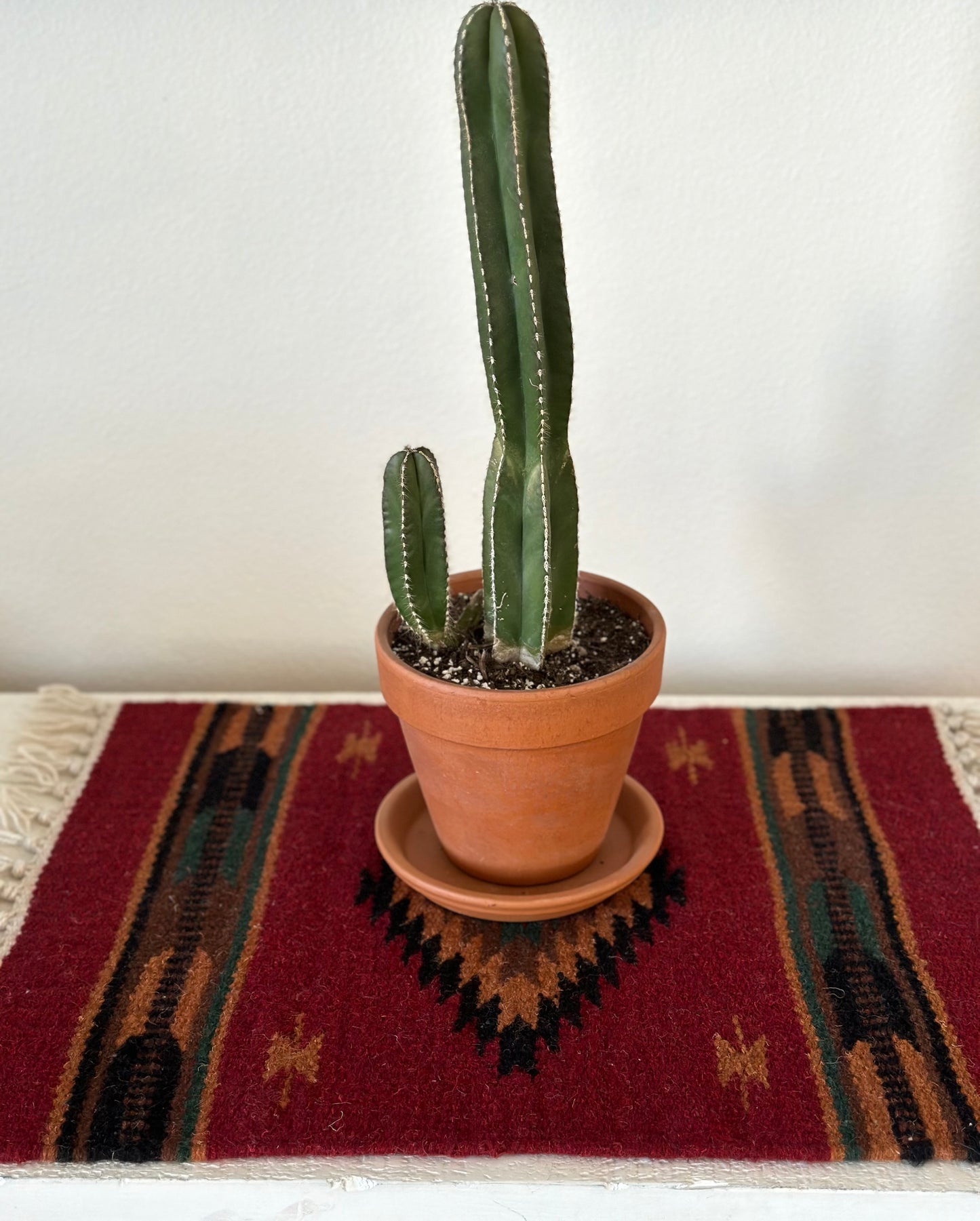 Large Chimayo Table Mat
