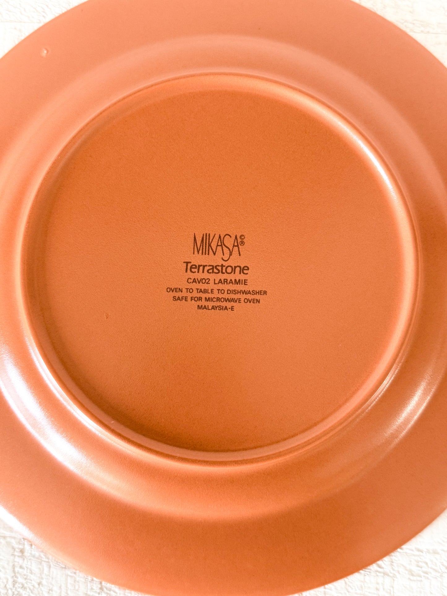 Vintage Southwestern Dinner Plate