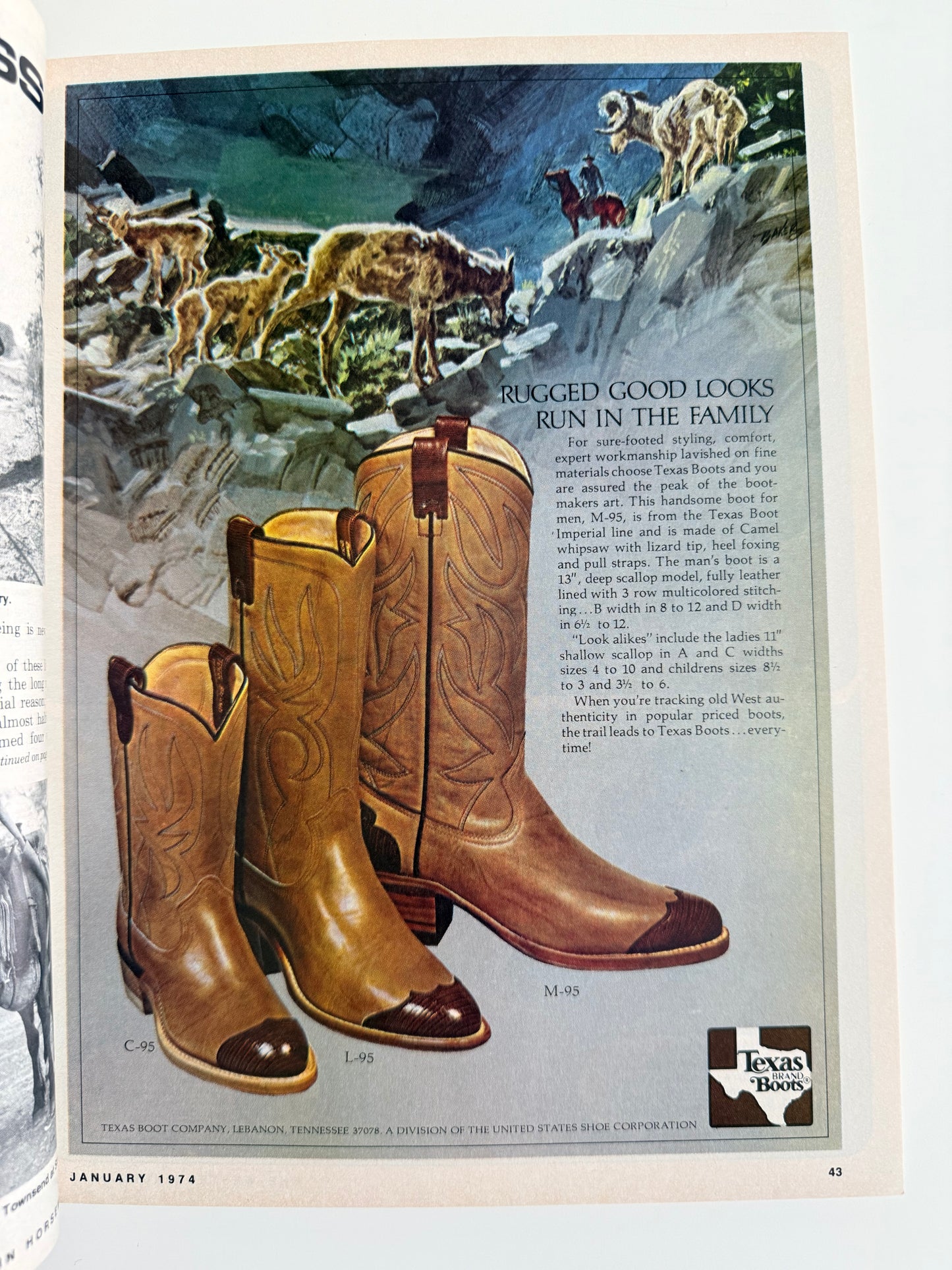Western Horseman Magazine 1974