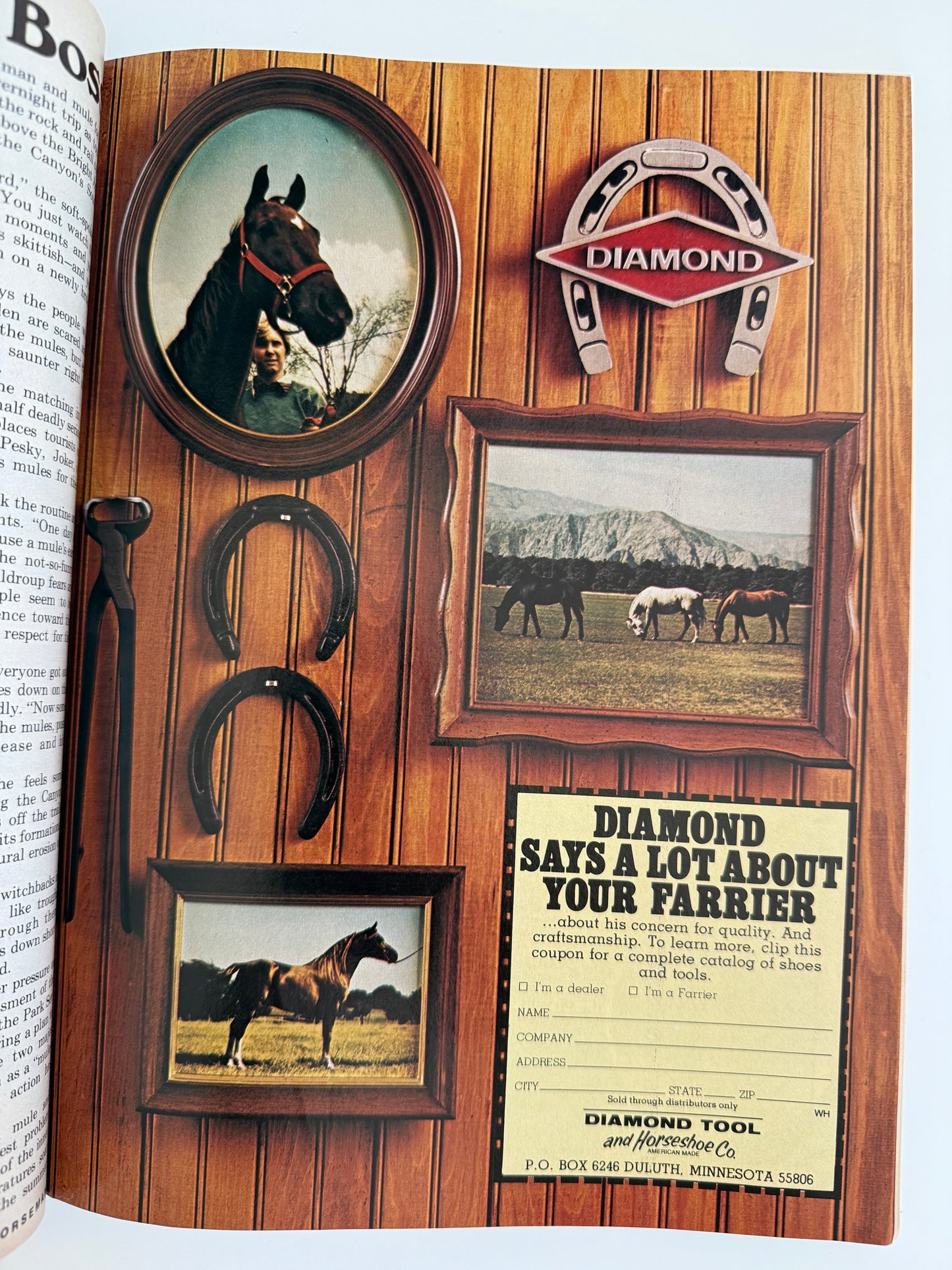 Vintage Western Horseman Magazine 1976