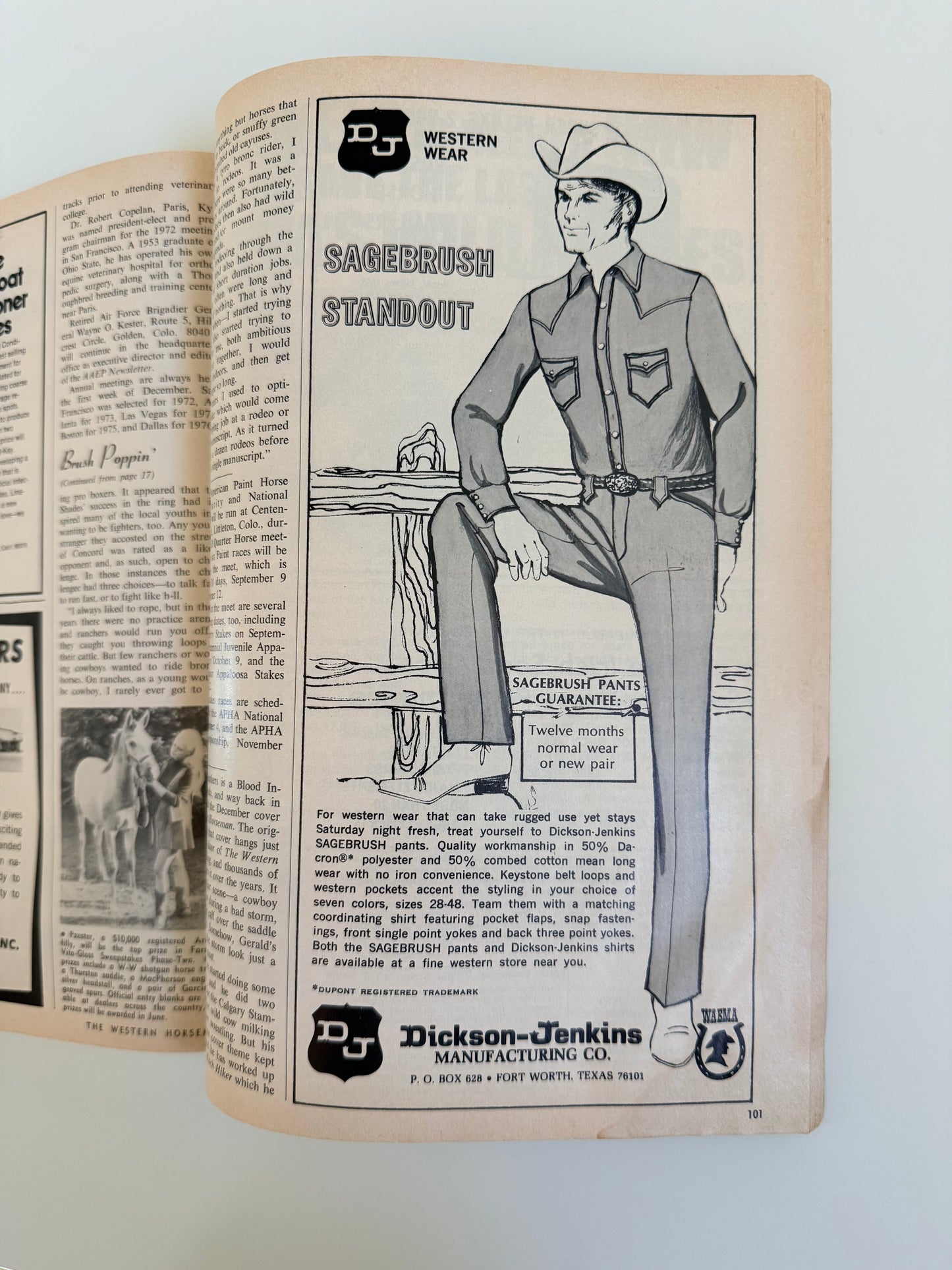 Western Horseman Magazine 1972