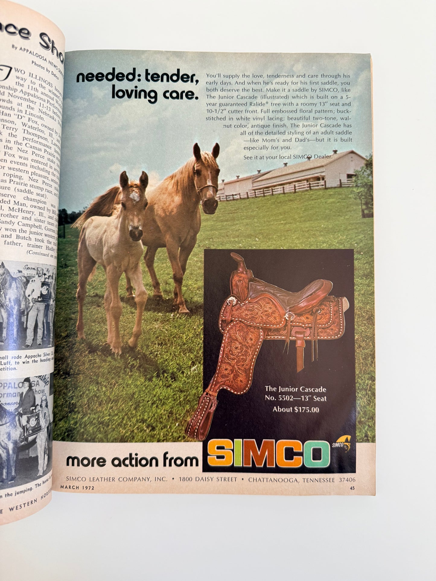 Western Horseman Magazine 1972