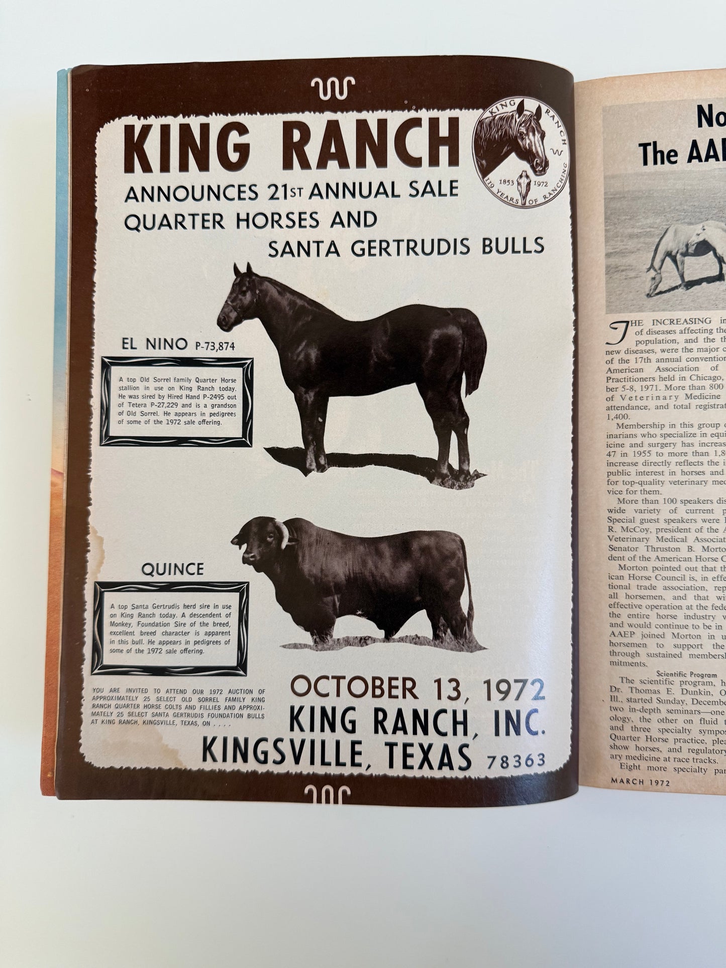 Western Horseman Magazine 1972
