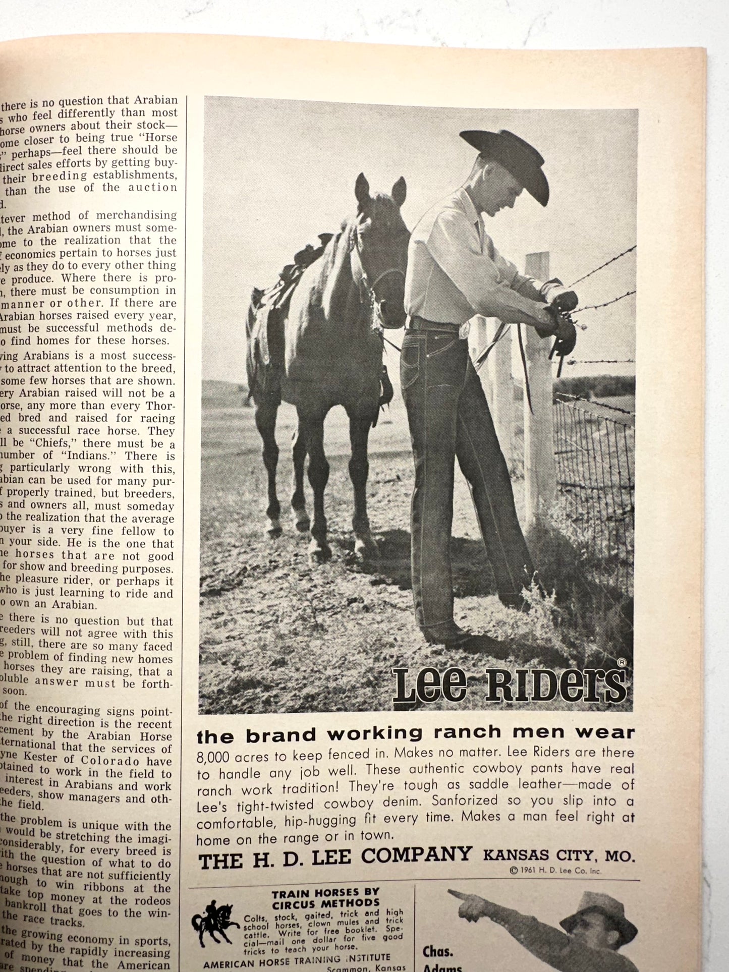 Vintage Horse Lovers Magazine 1961