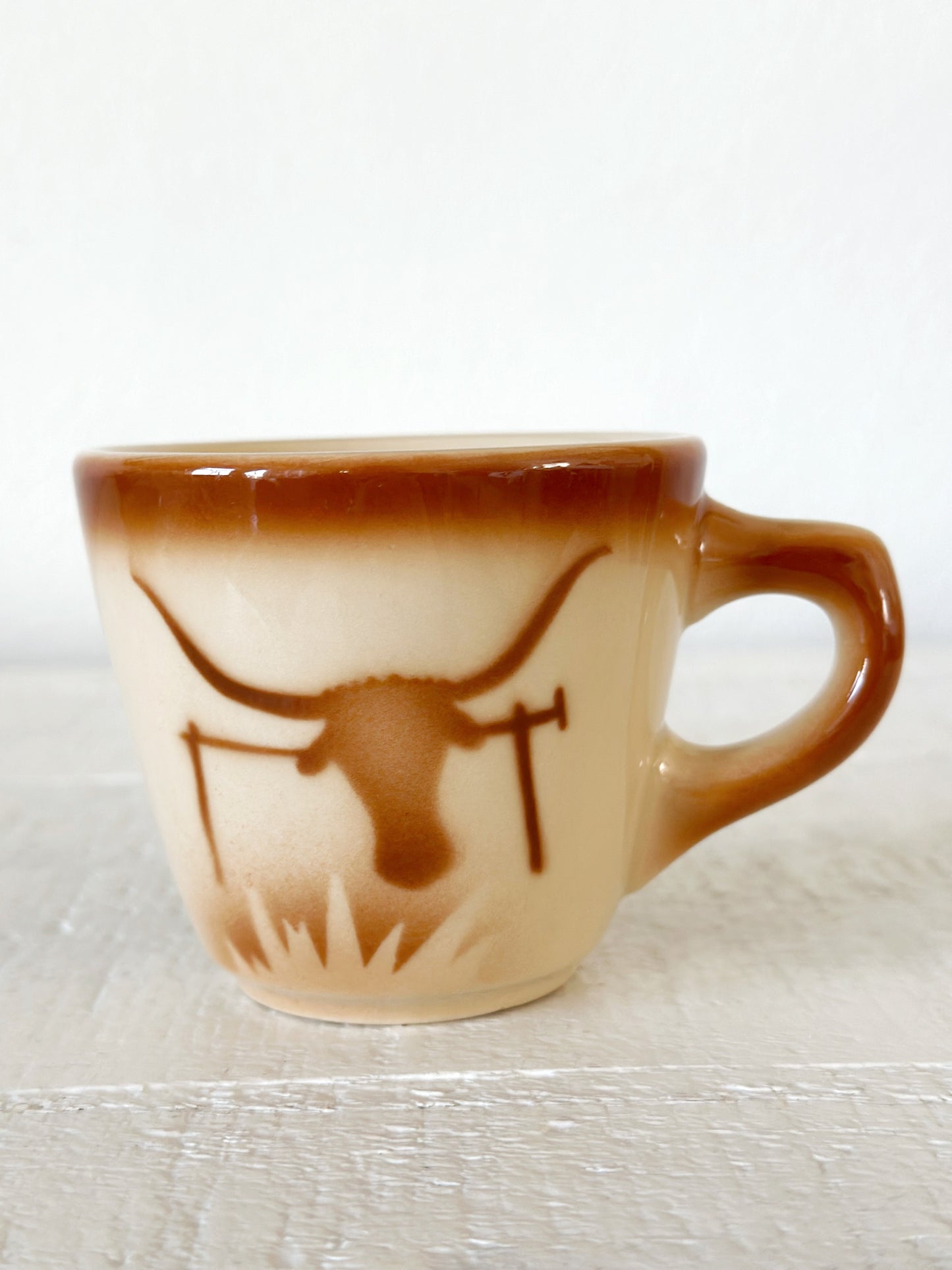 Vintage Western Mug and Saucer