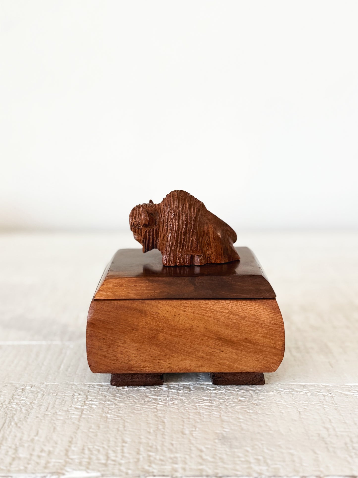 Ironwood Buffalo Trinket Box