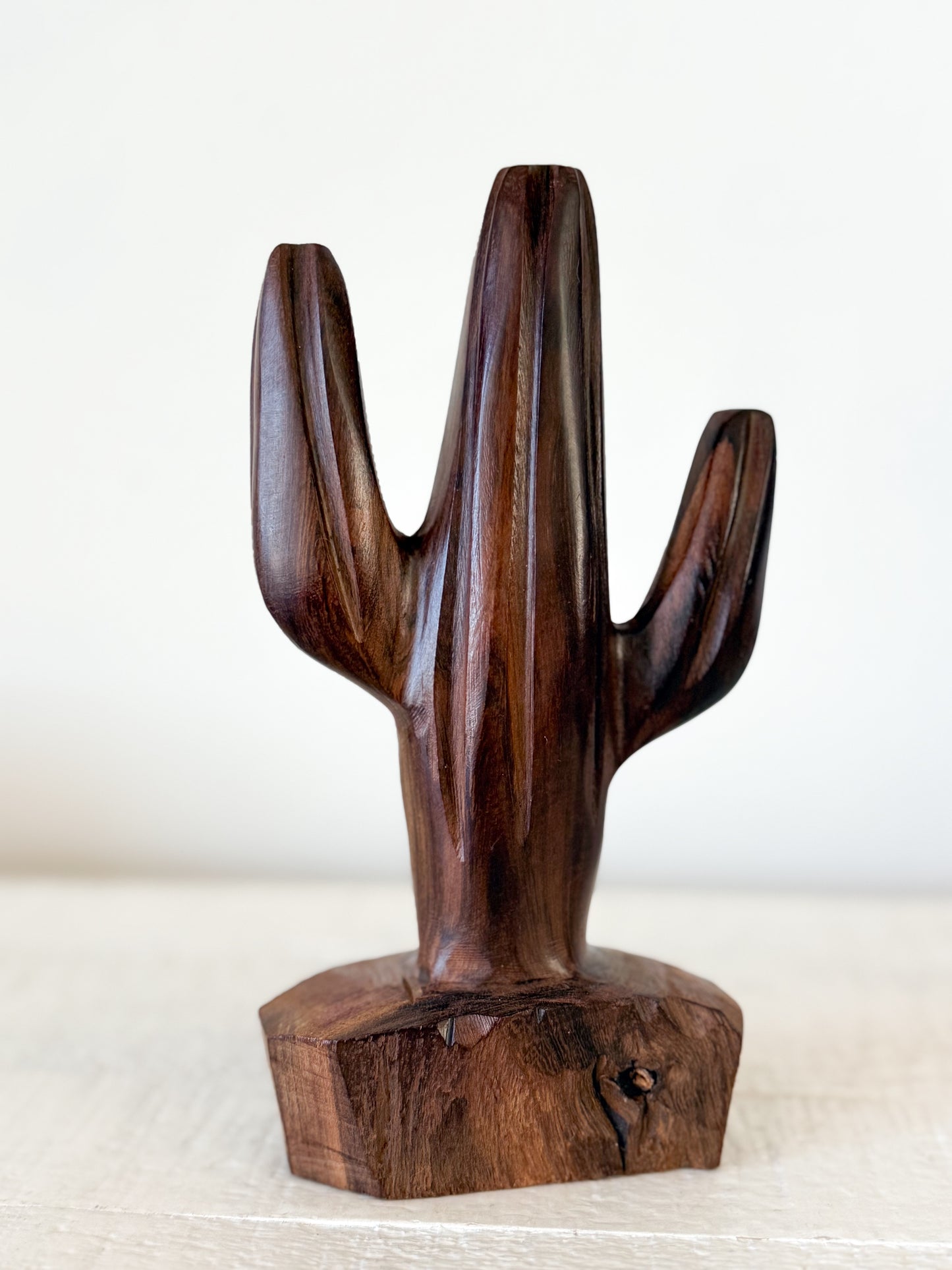 Ironwood Saguaro Cactus