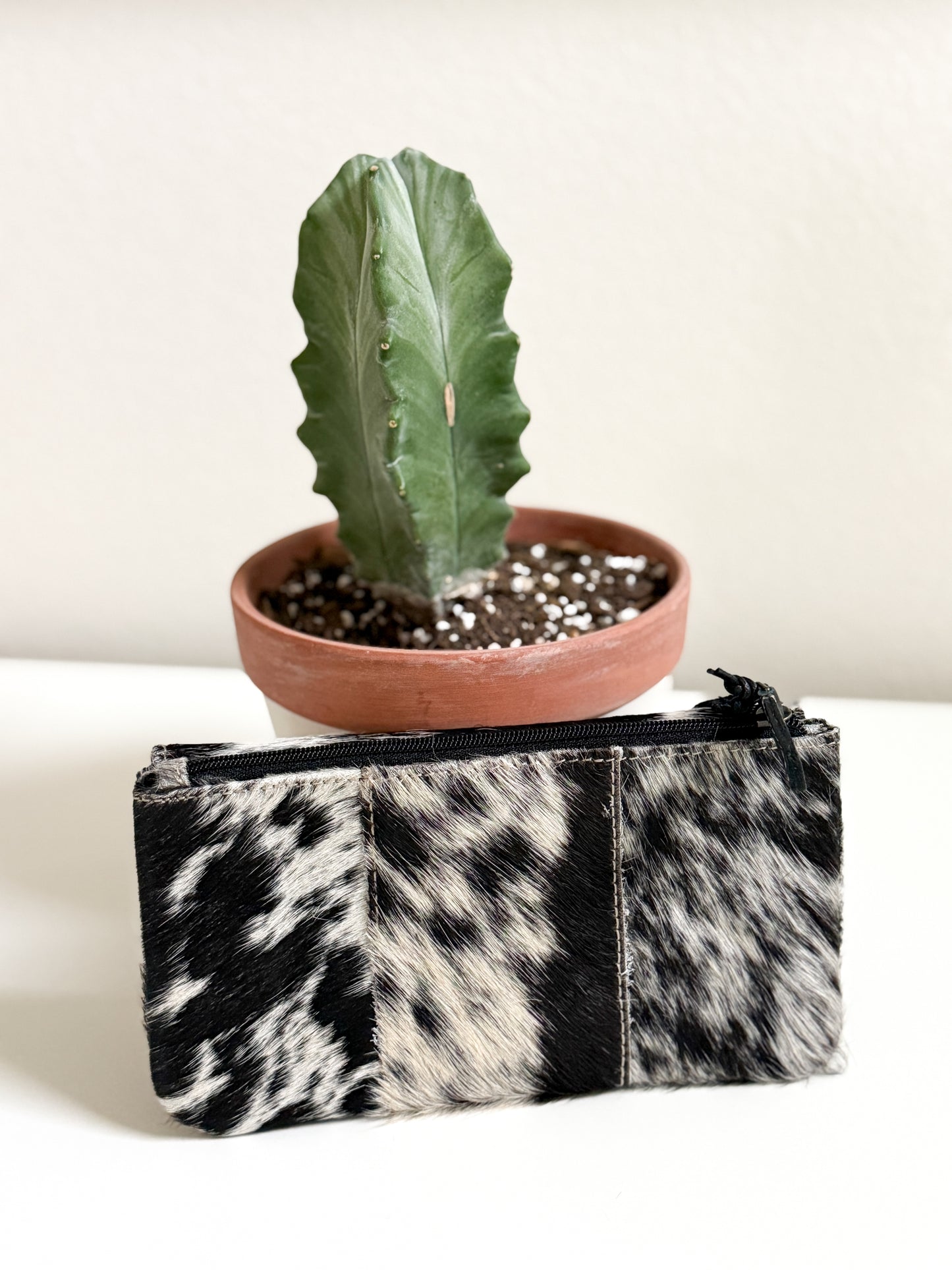 The Felicity Wallet