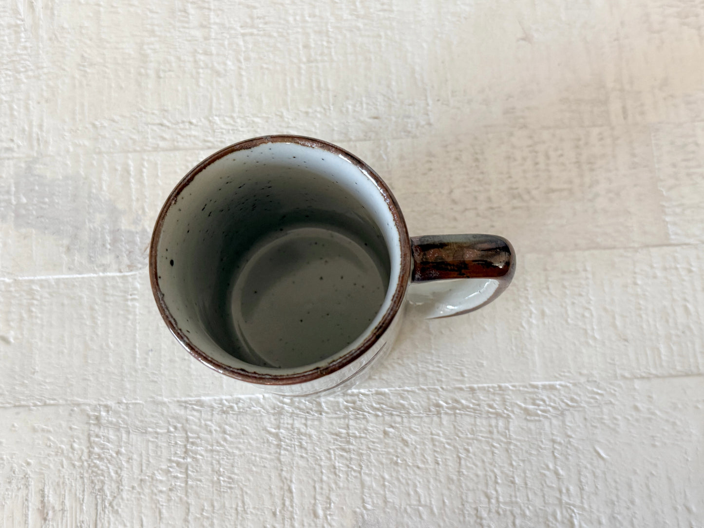 Vintage Speckled Roadrunner Mug