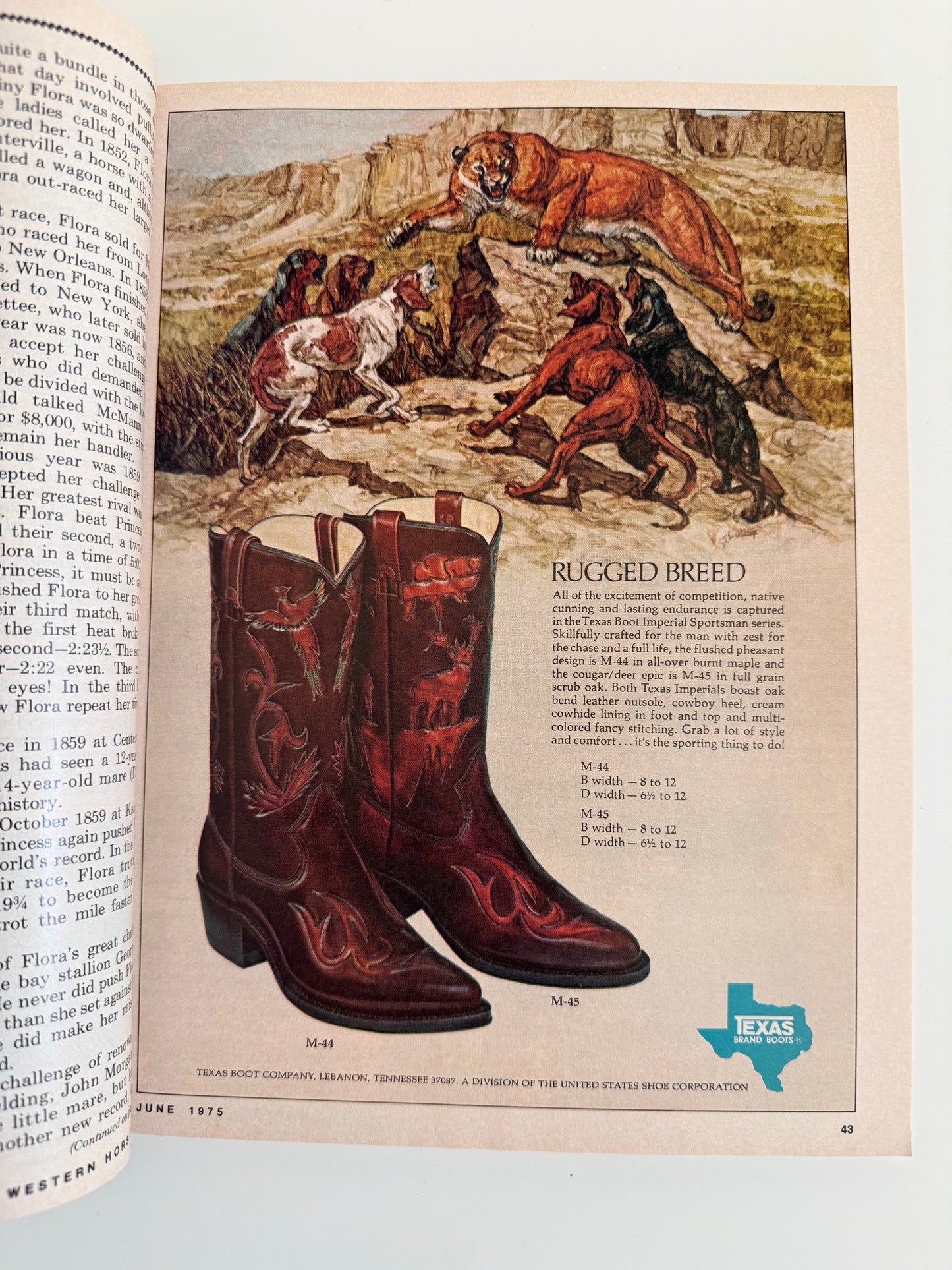 Western Horseman Magazine 1975