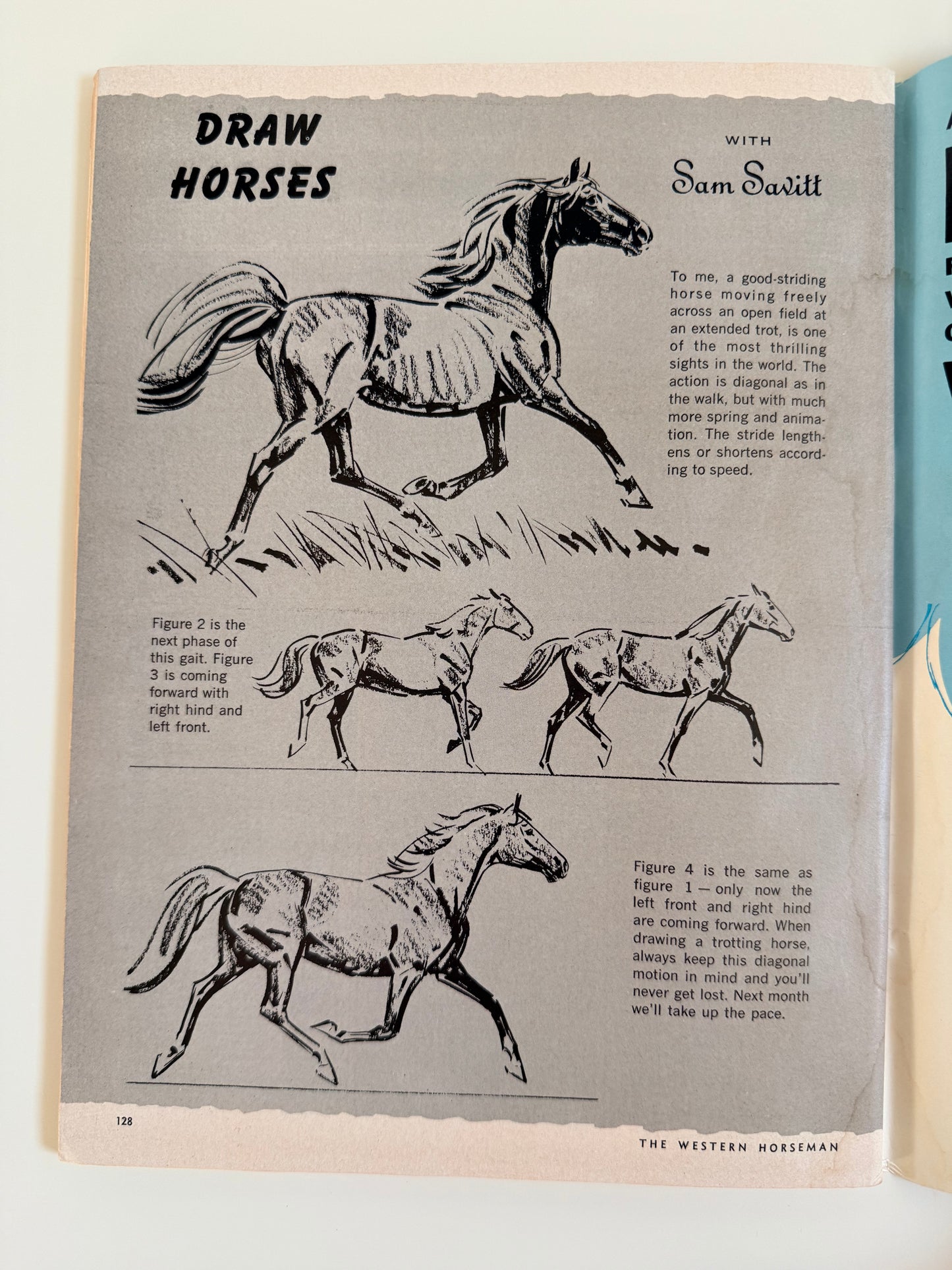 Western Horseman Magazine 1967