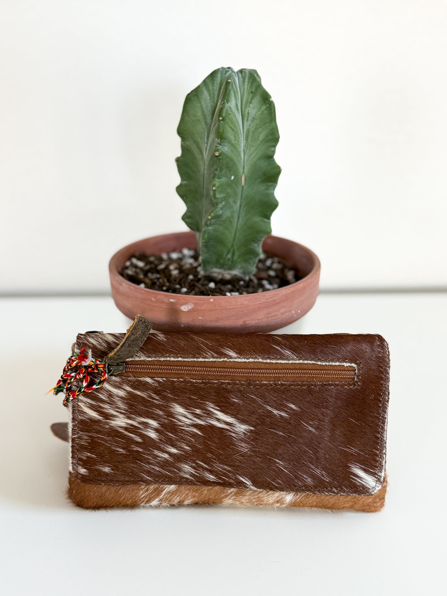 The Dallas Wallet