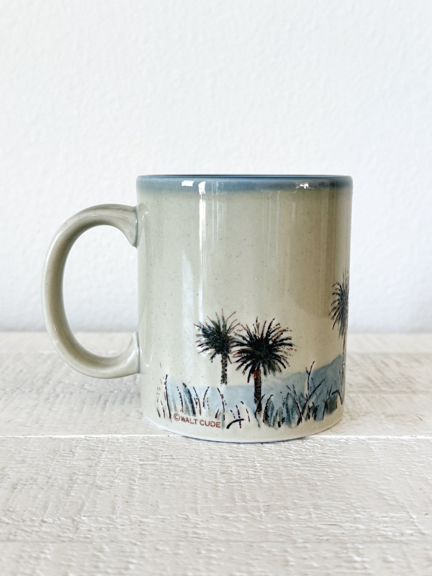 Vintage Longhorn Mug