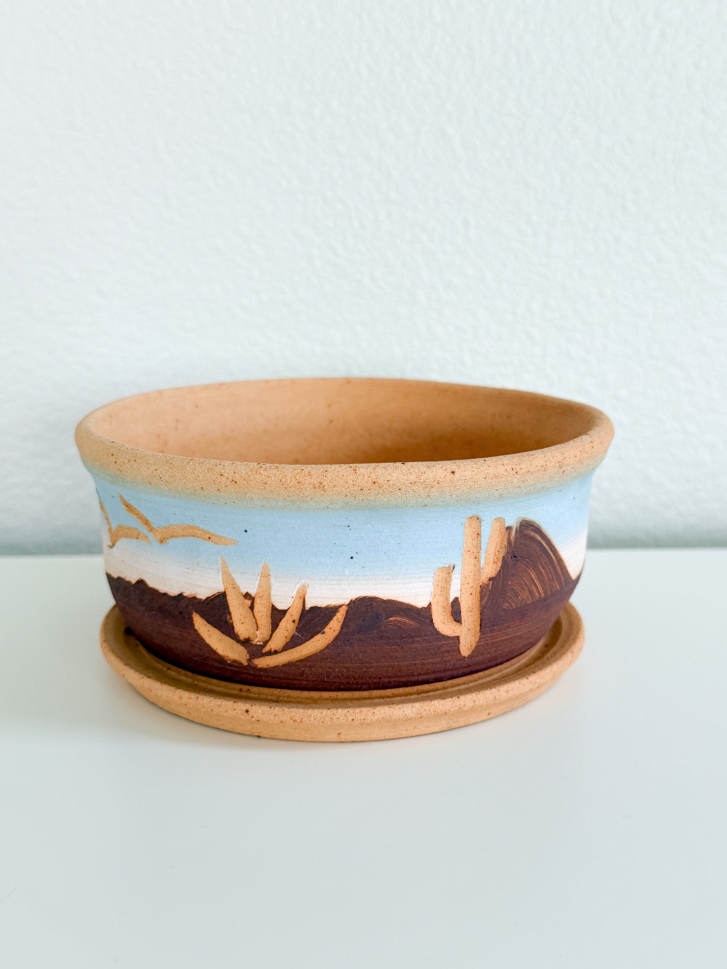 Vintage Cactus Planter