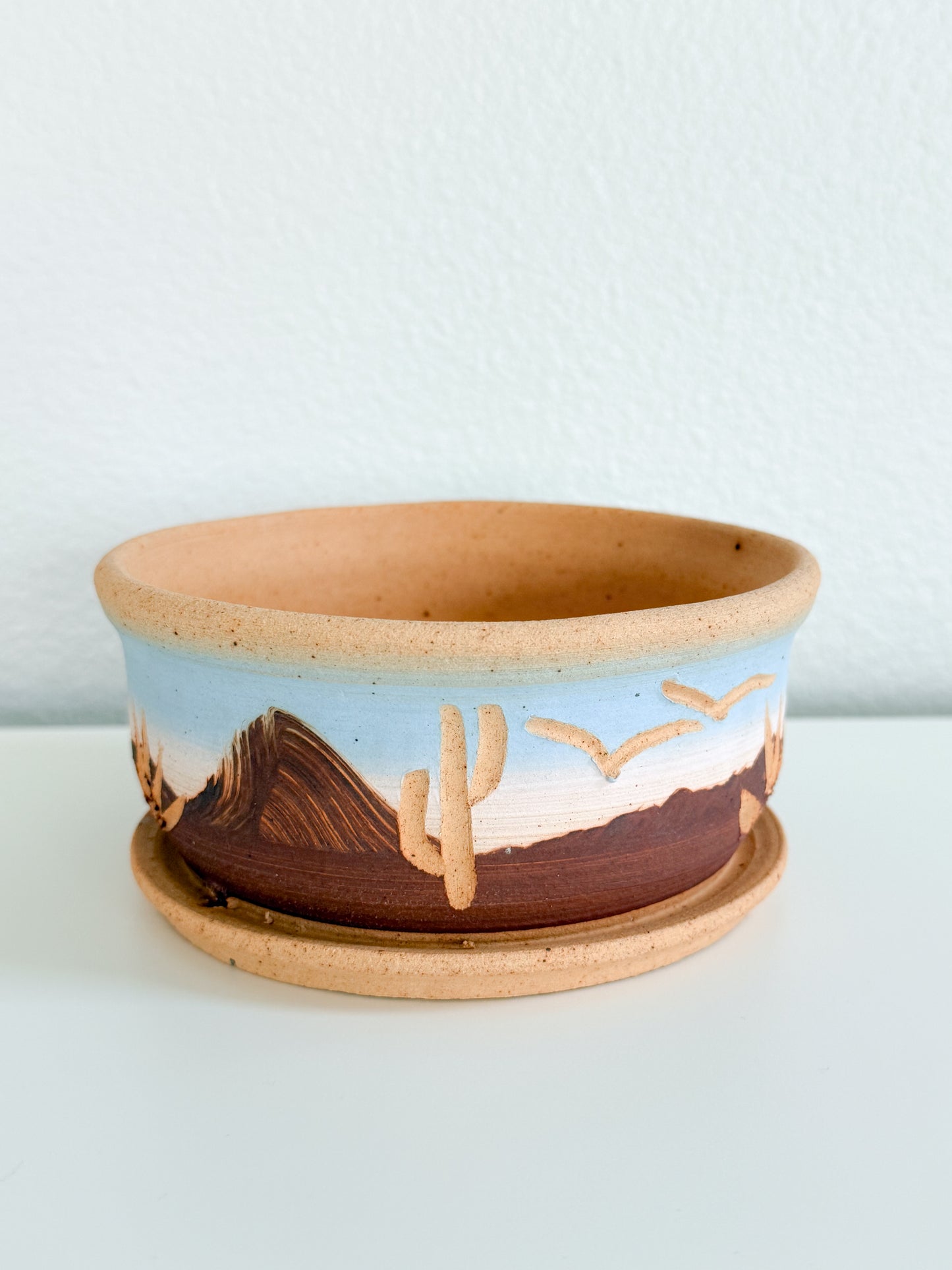 Vintage Cactus Planter