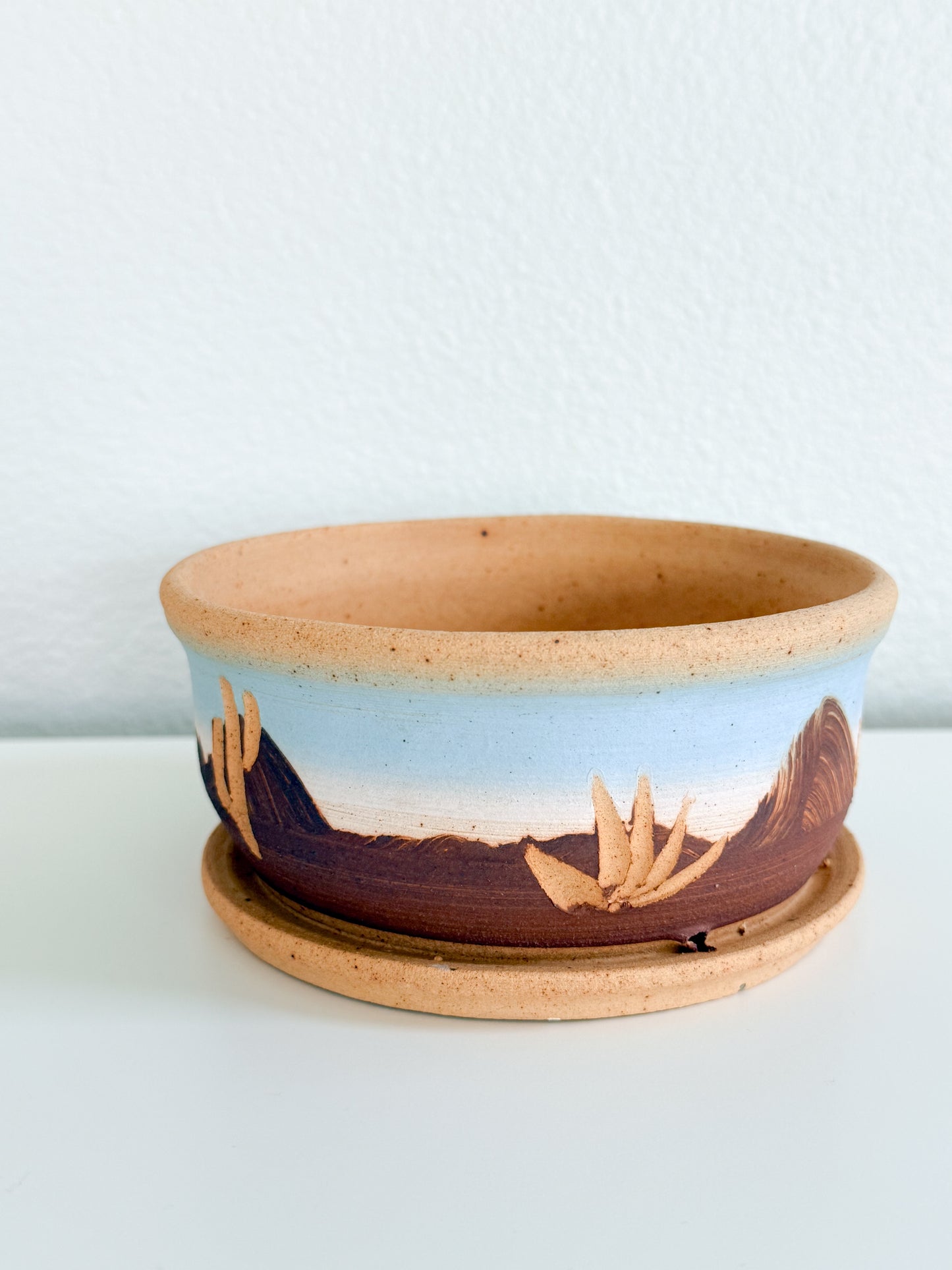 Vintage Cactus Planter