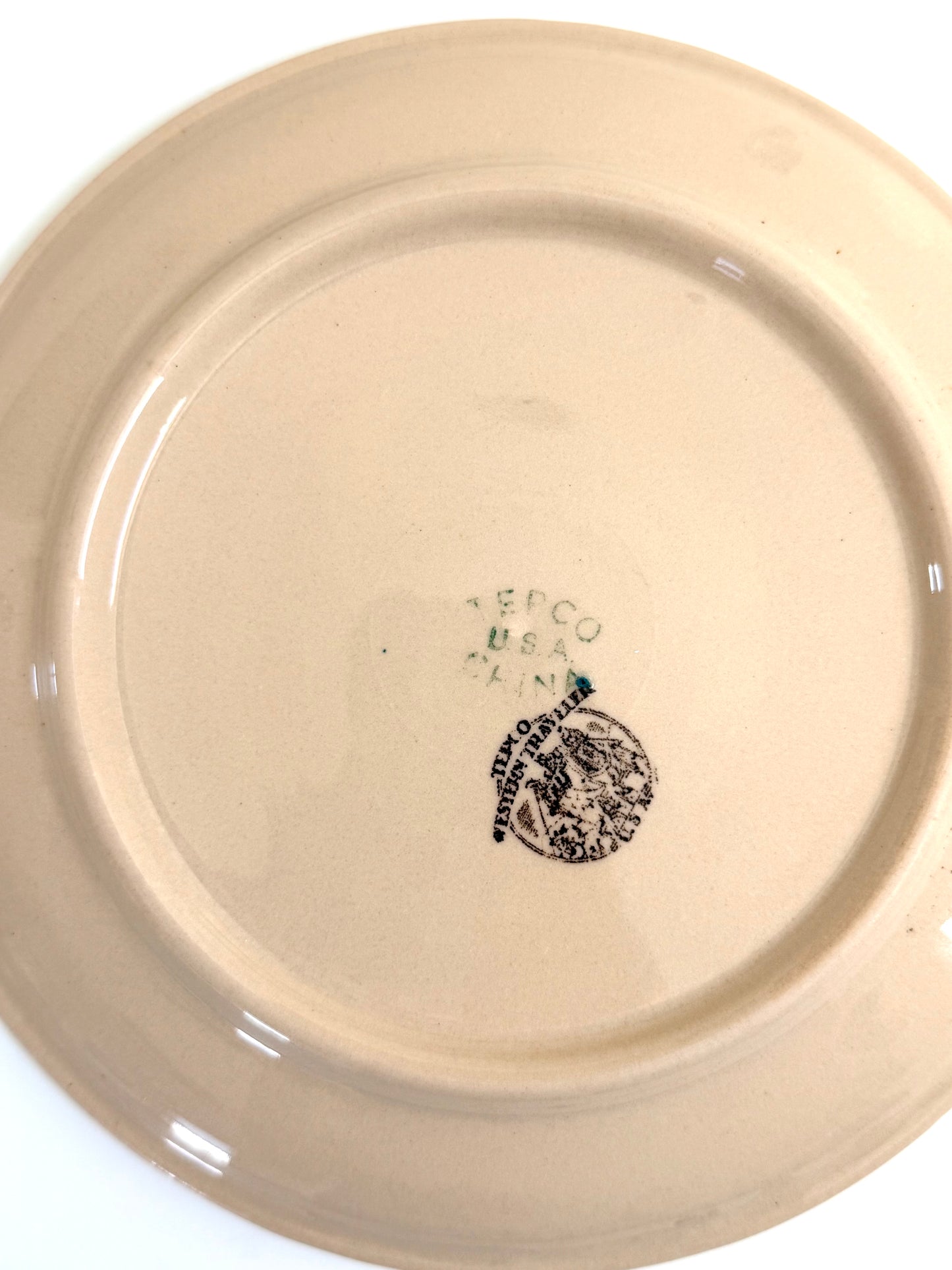 Vintage TEPCO Western Traveler Plate