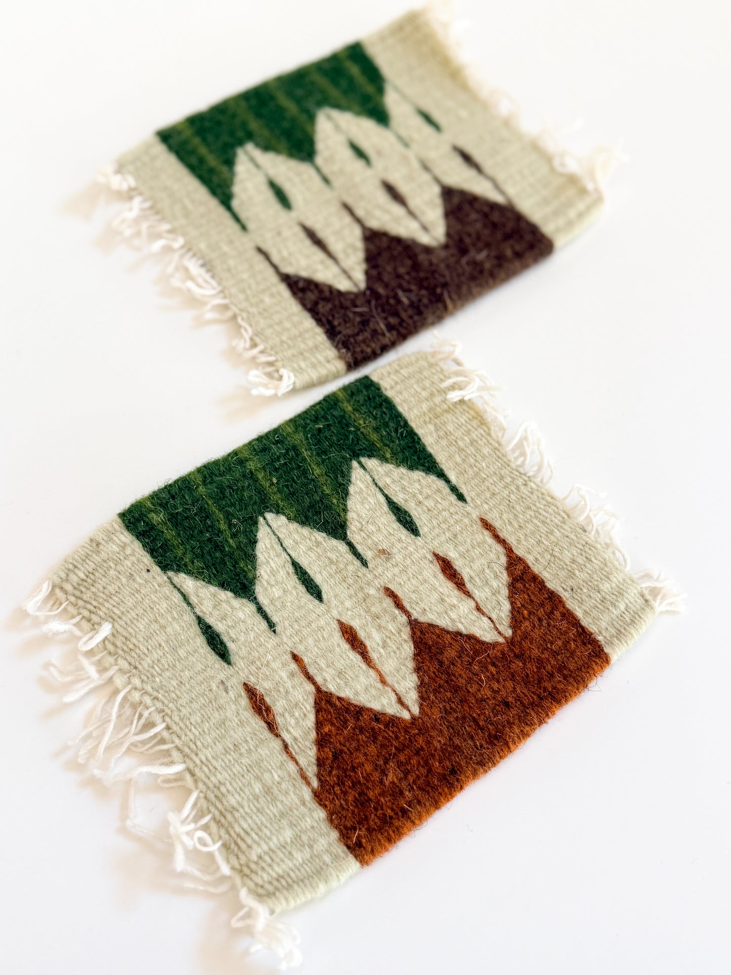 Southwest Coasters (Set of 2)