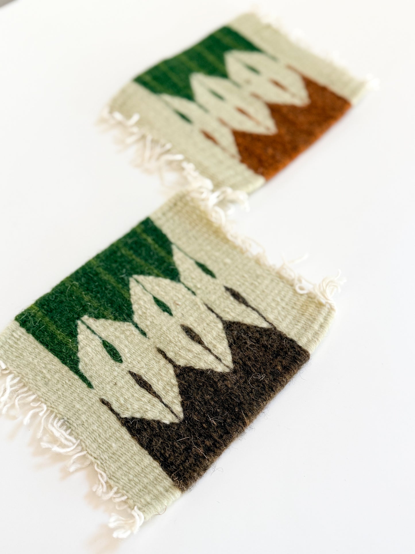 Southwest Coasters (Set of 2)