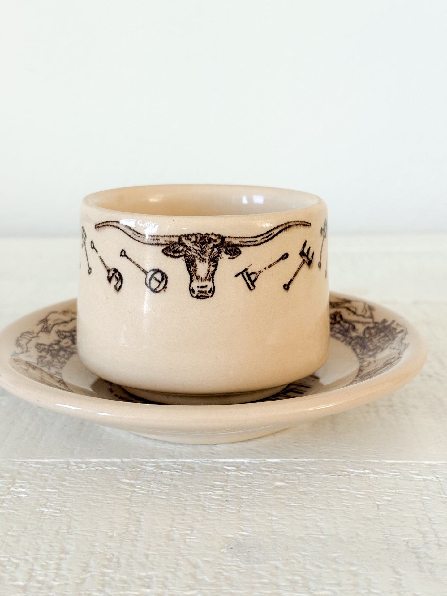 Vintage Tepco China Western Traveler Cup & Saucer