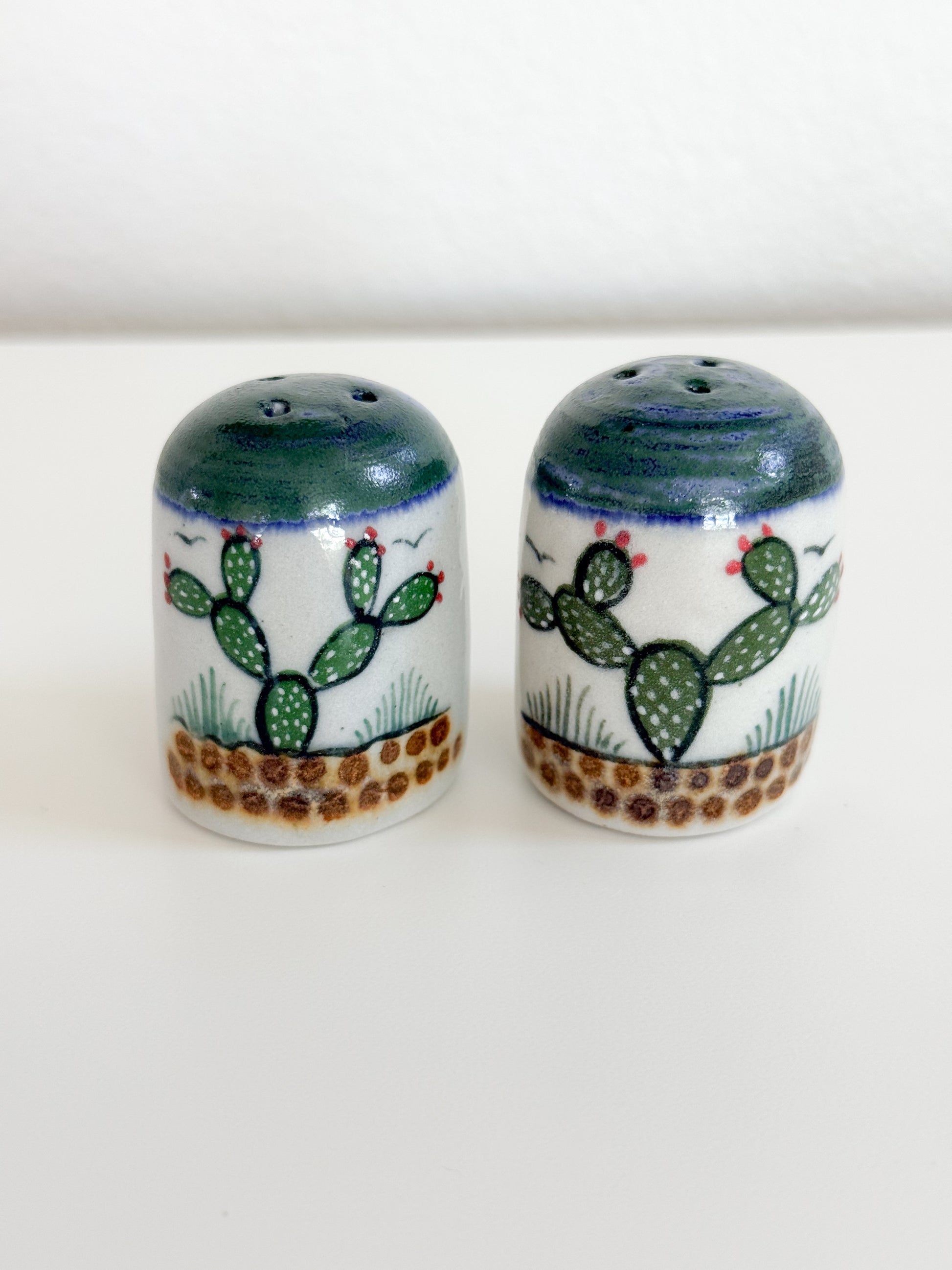 A pair of ceramic salt and pepper shakers decorated with a green cactus and desert pattern on a white background, set against a plain white backdrop.