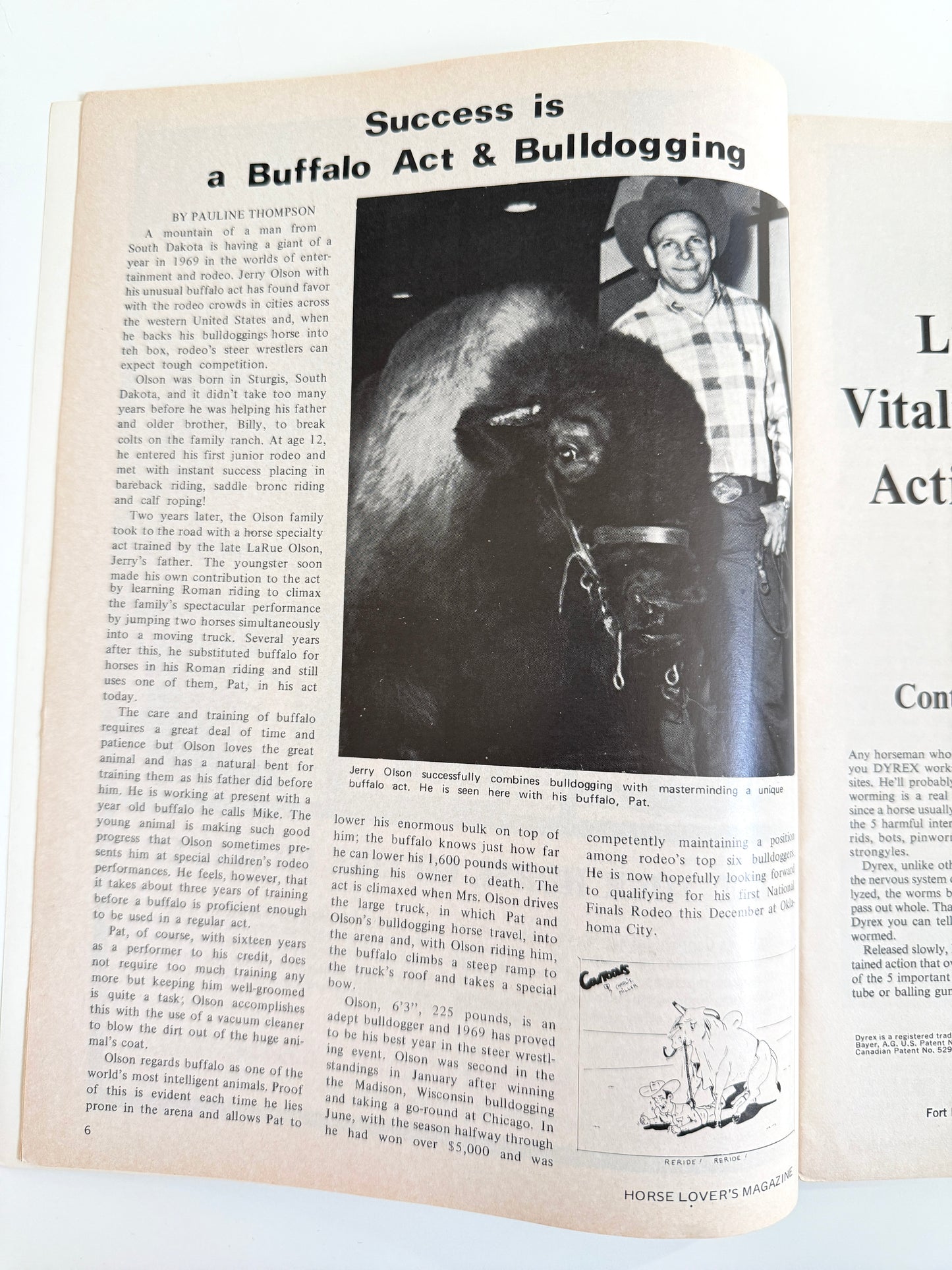 Vintage Horse Lovers Magazine 1969