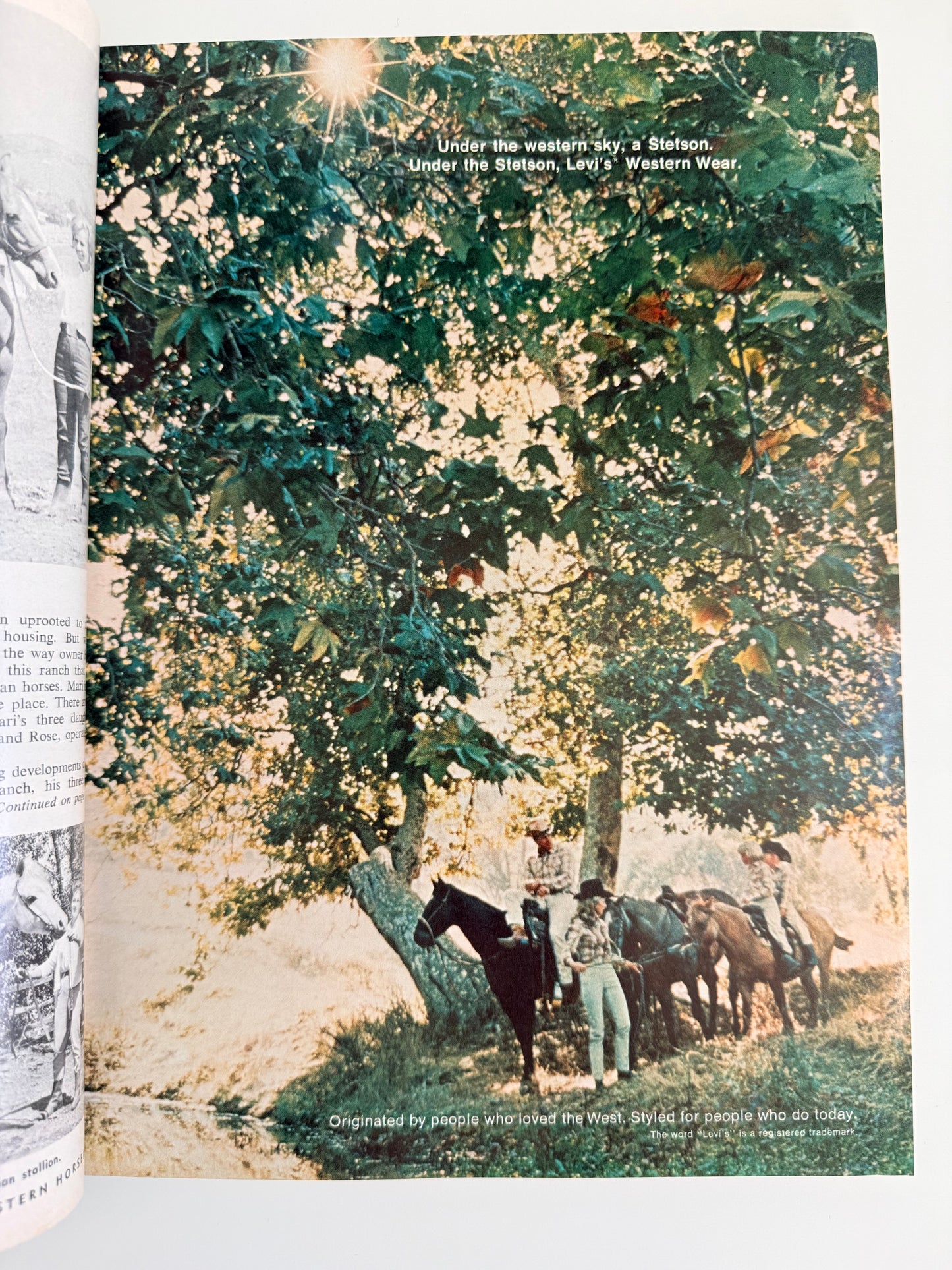 Western Horseman Magazine 1968