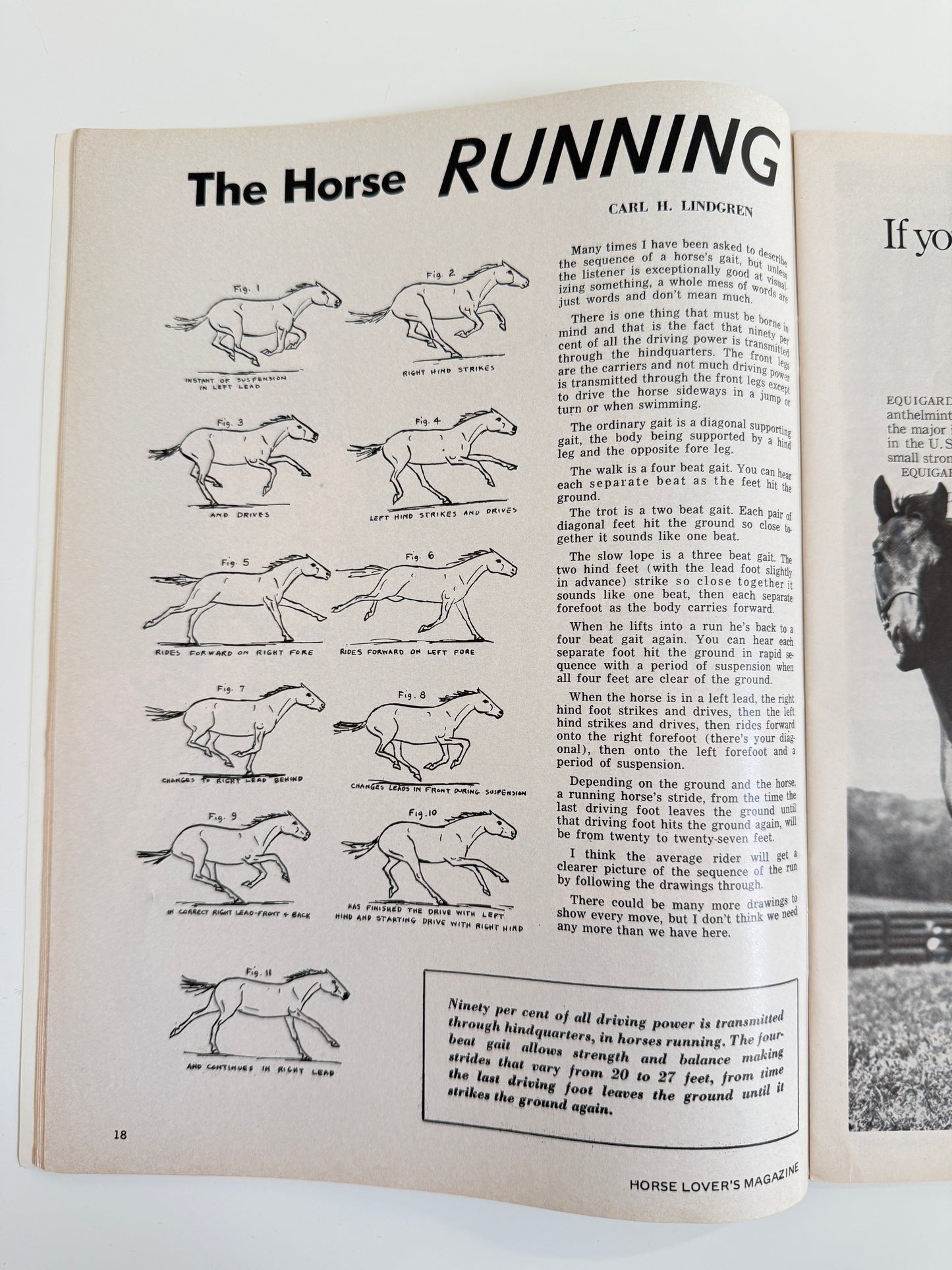 Vintage Horse Lovers Magazine 1969