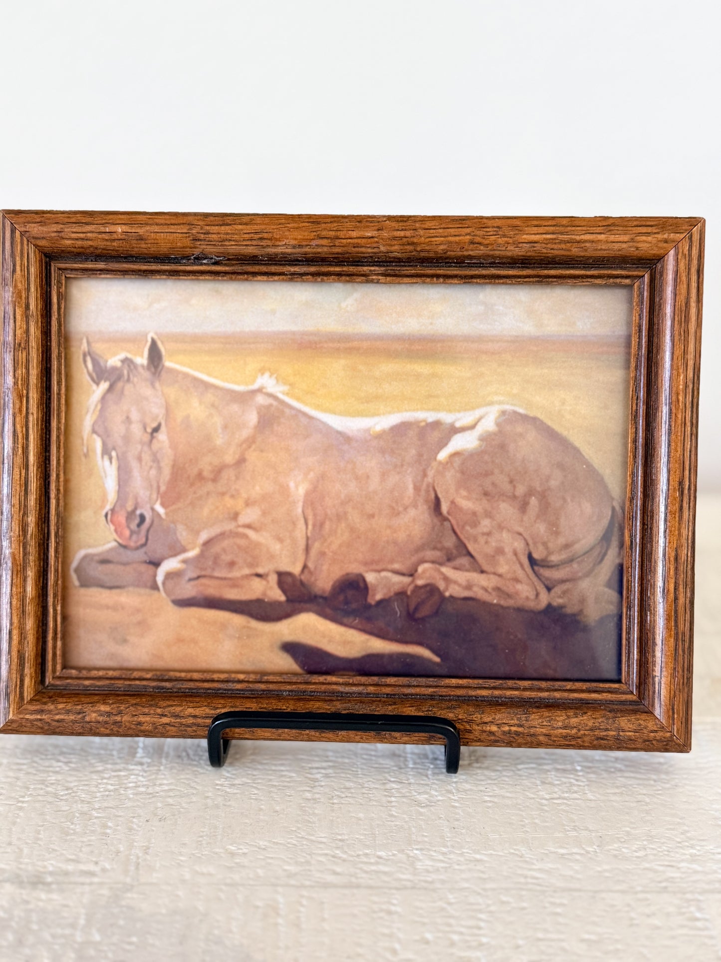 Vintage Framed Horse Picture
