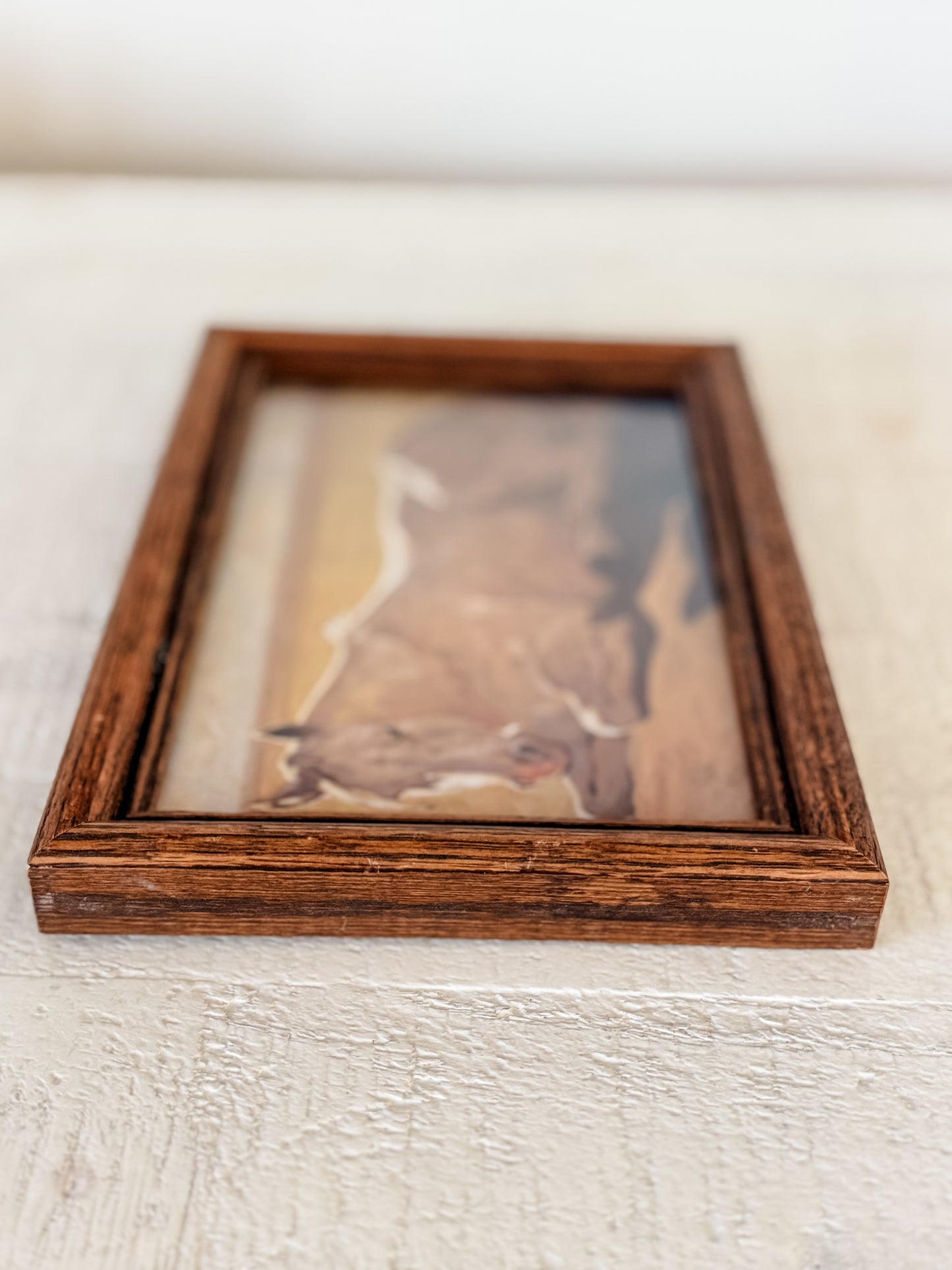 Vintage Framed Horse Picture