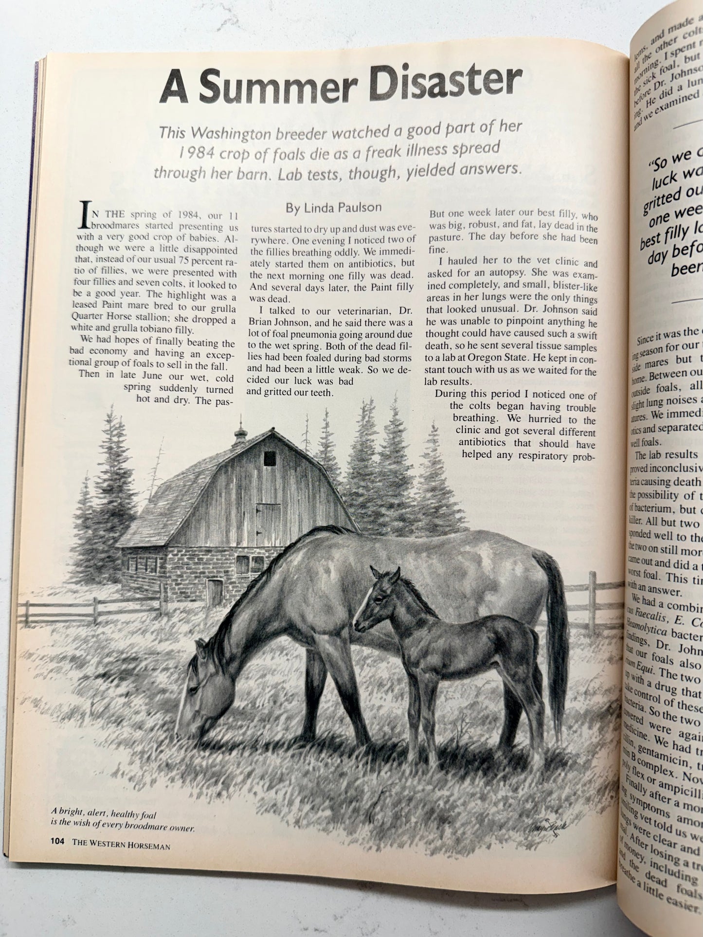 Vintage Western Horseman Magazine 1985