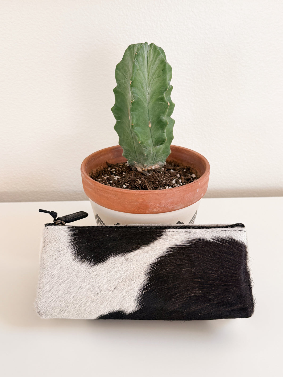 Genuine Cowhide Makeup Bag | Western Cosmetic Pouch