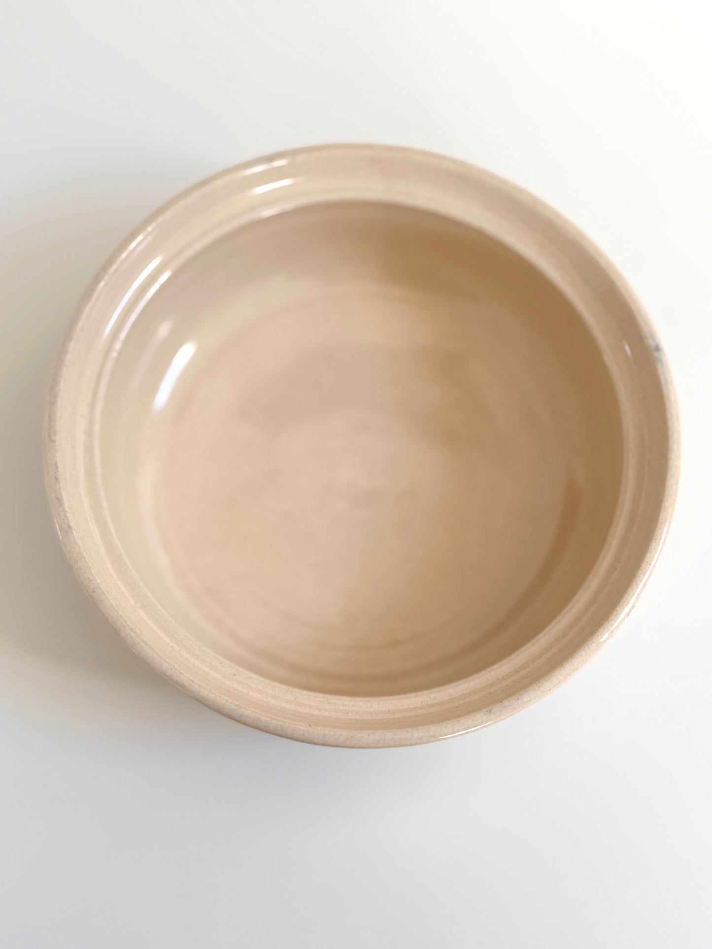 Vintage Cactus Pottery Bowl