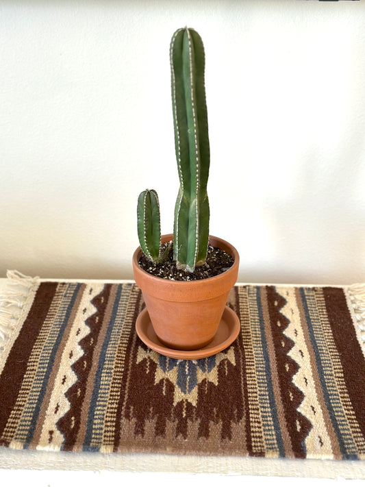 Large Chimayo Table Mat