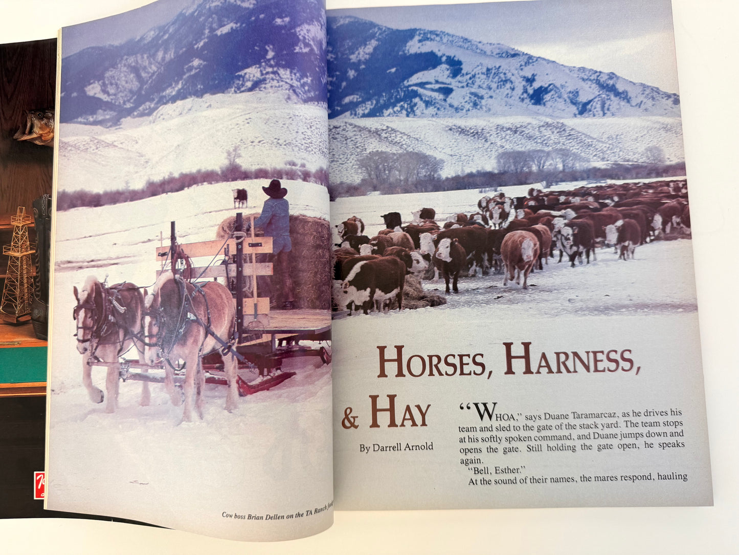 Vintage Western Horseman Magazine 1985