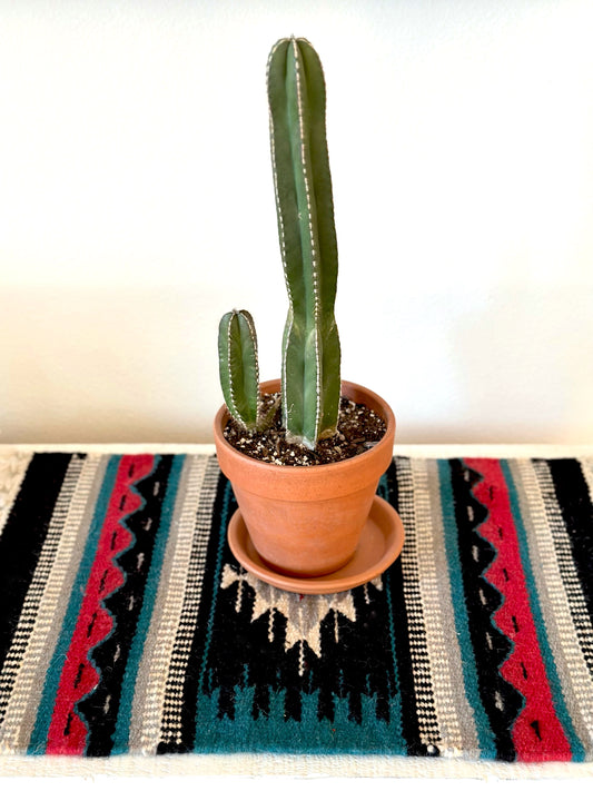 Large Chimayo Table Mat