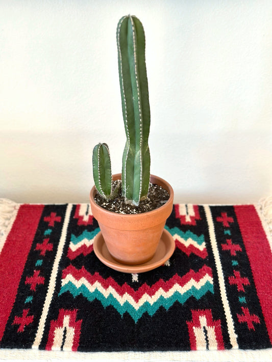 Large Chimayo Table Mat