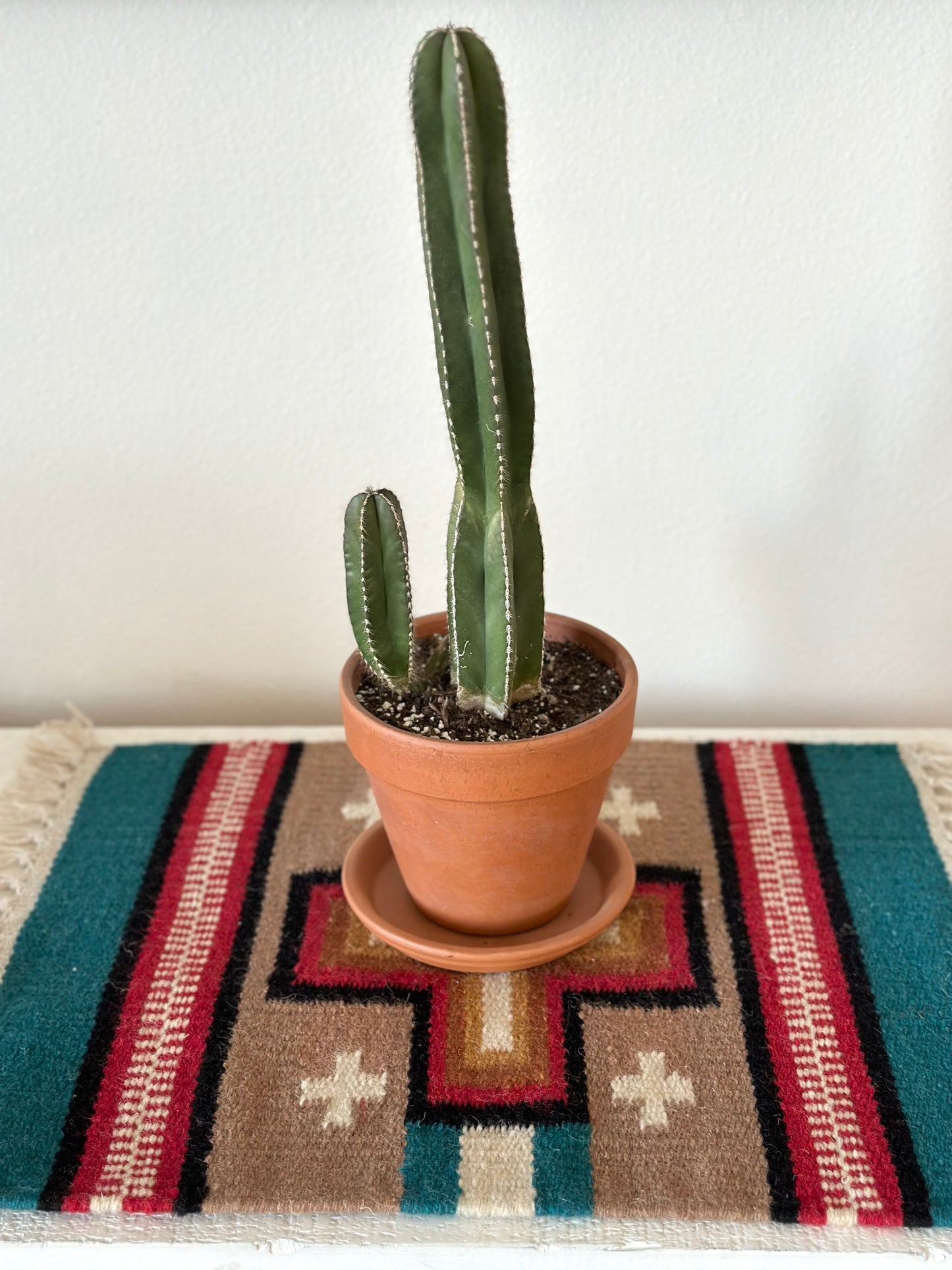 Large Chimayo Table Mat