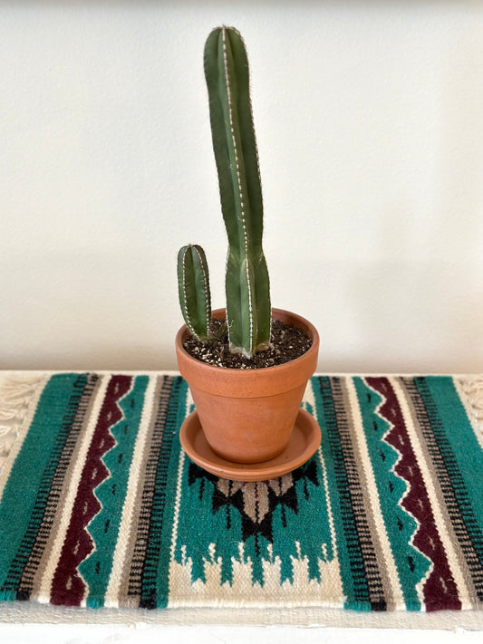 Large Chimayo Table Mat