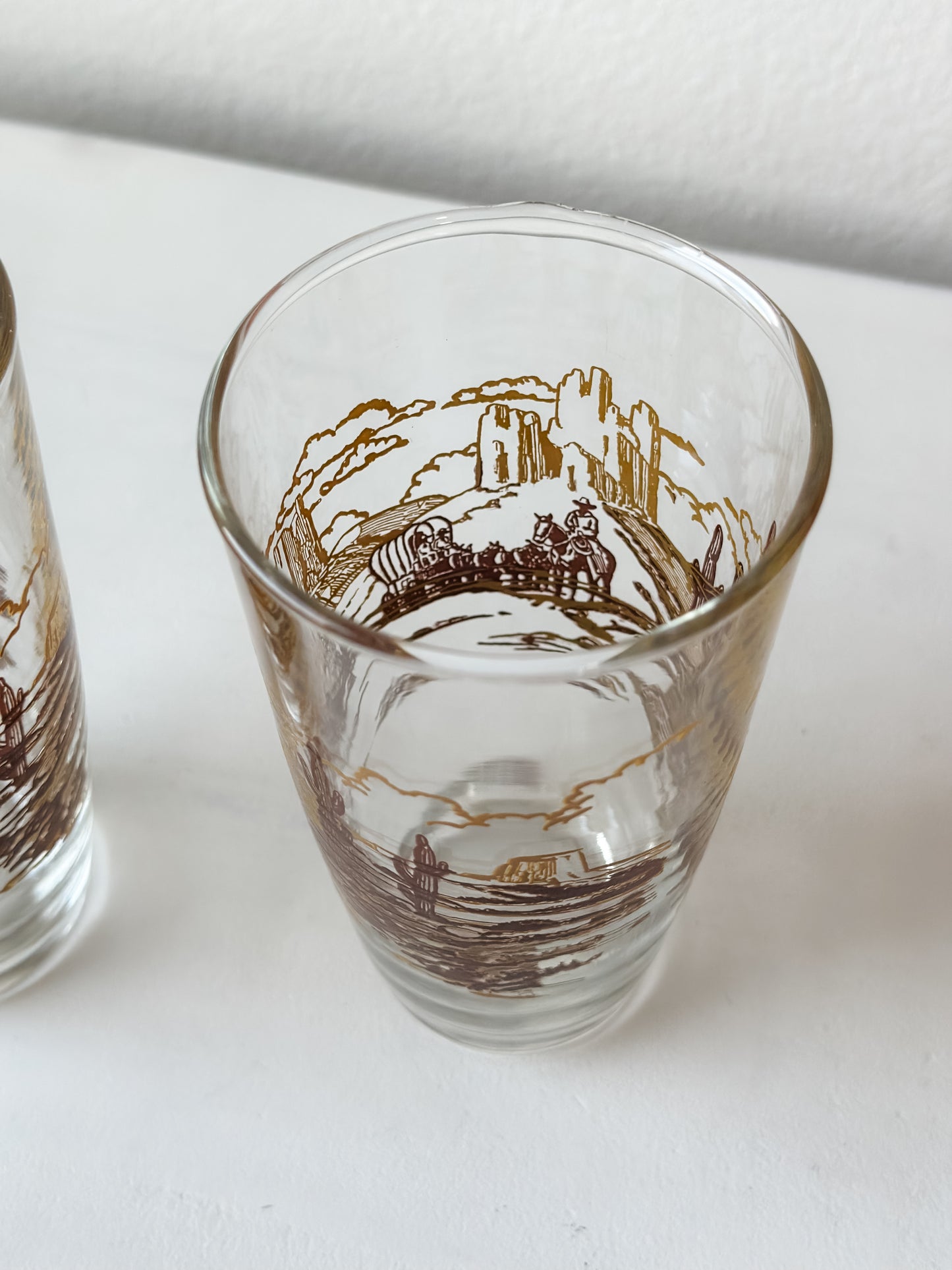 Vintage Western Drinking Glasses (Set)