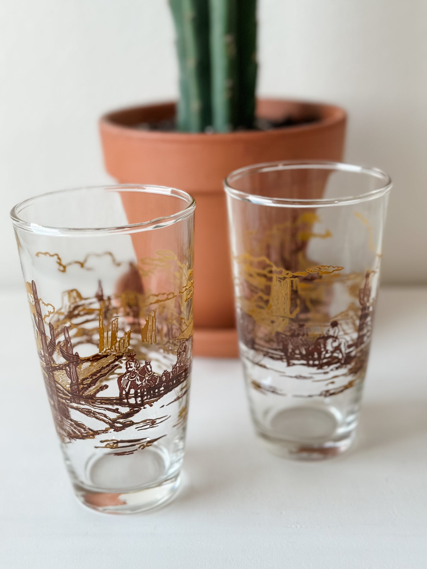 Vintage Western Drinking Glasses (Set)