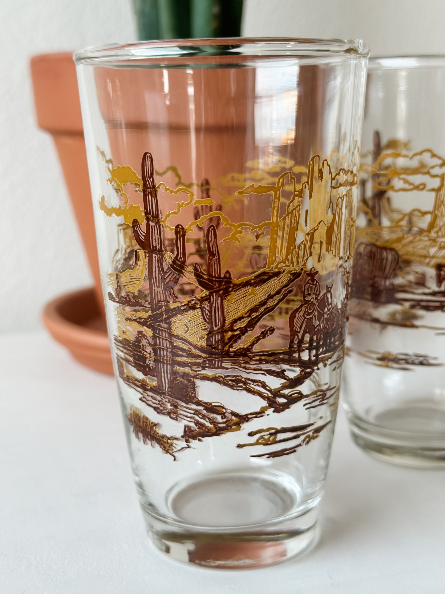 Vintage Western Drinking Glasses (Set)