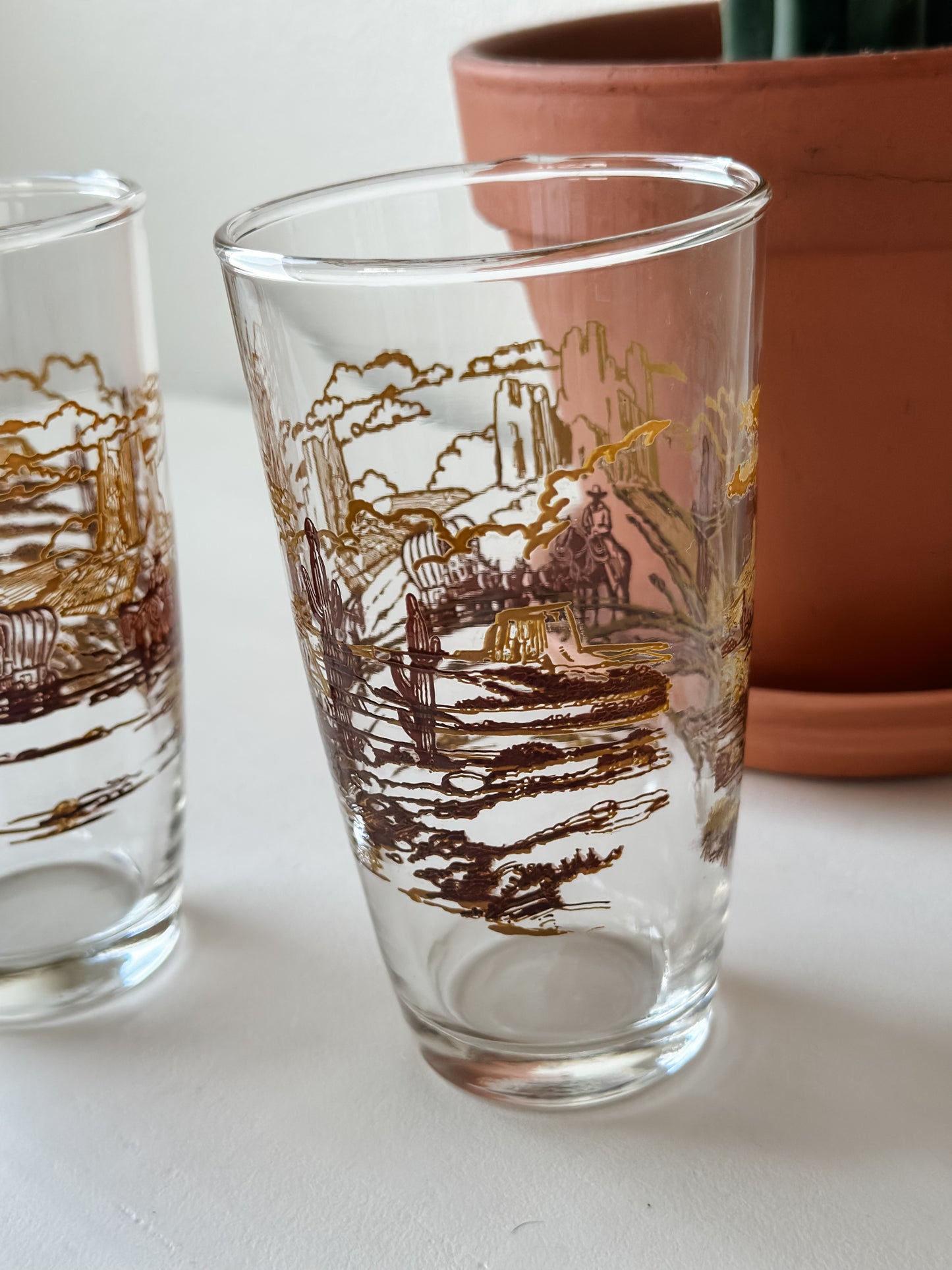 Vintage Western Drinking Glasses (Set)